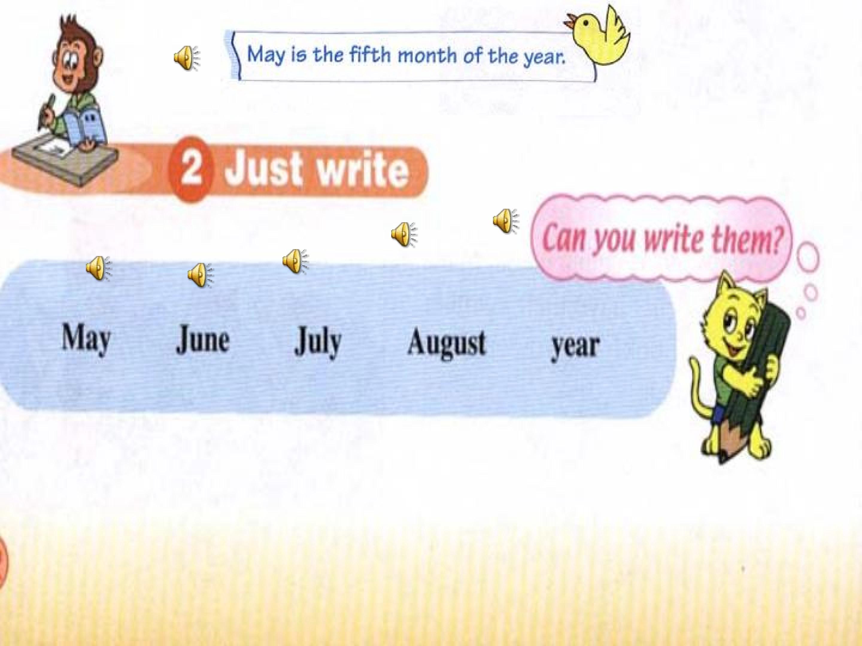16.jpg