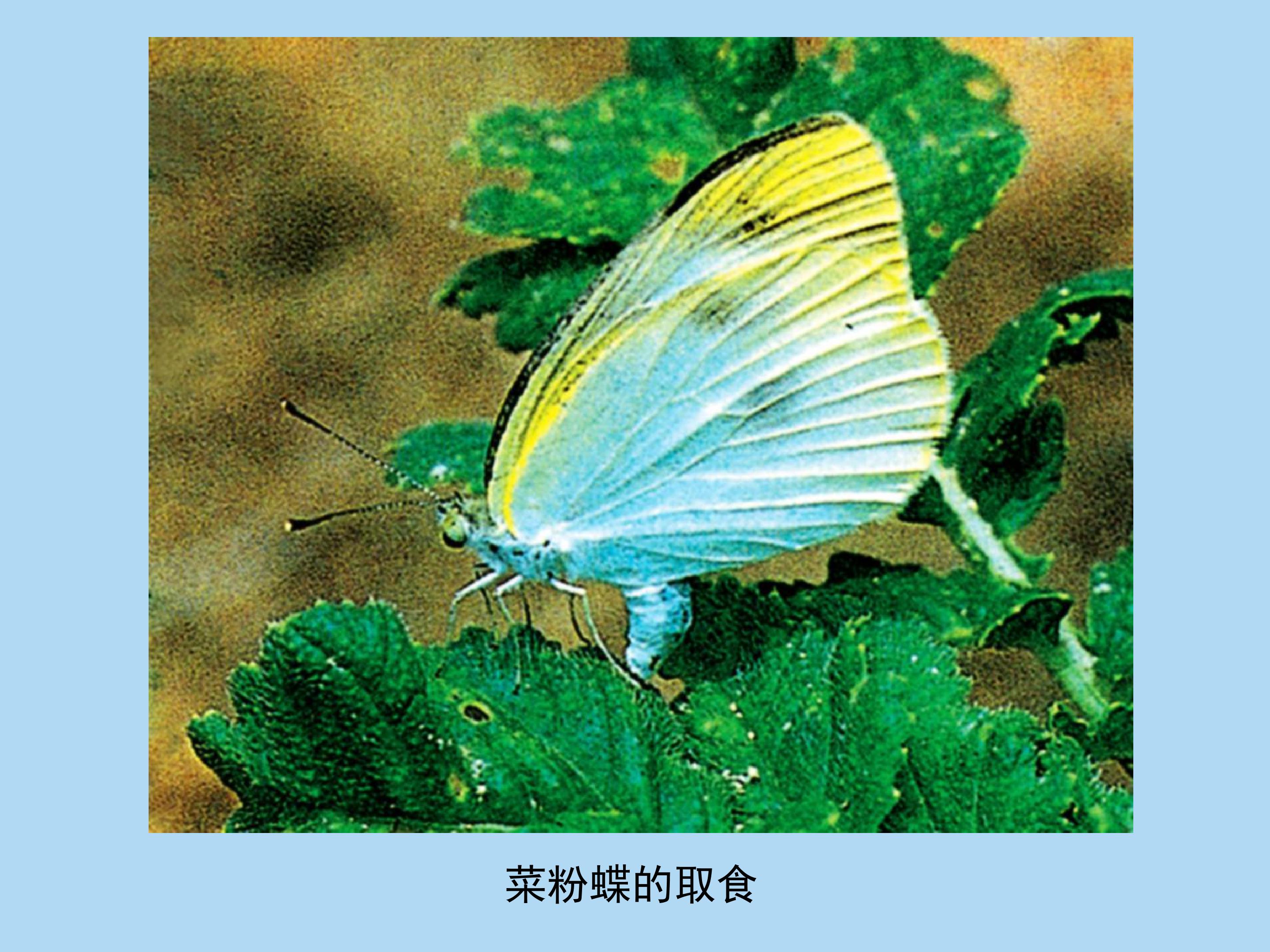 14.jpg
