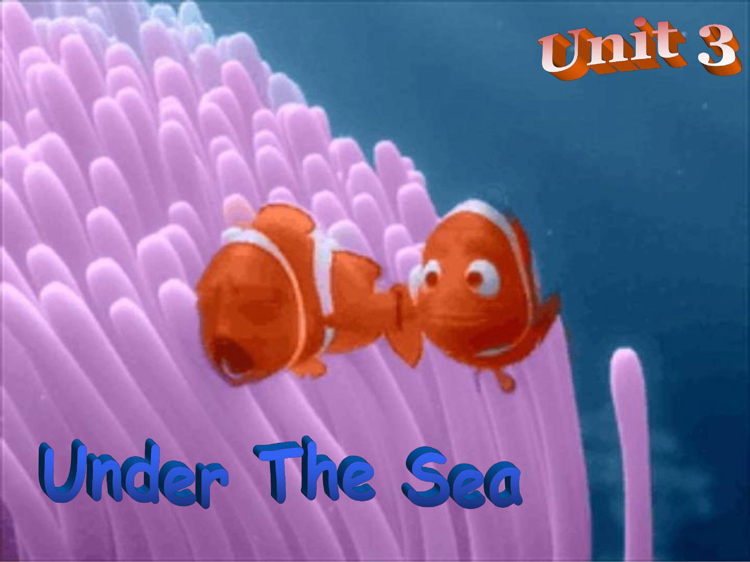 选修7-Unit3-under the sea -reading