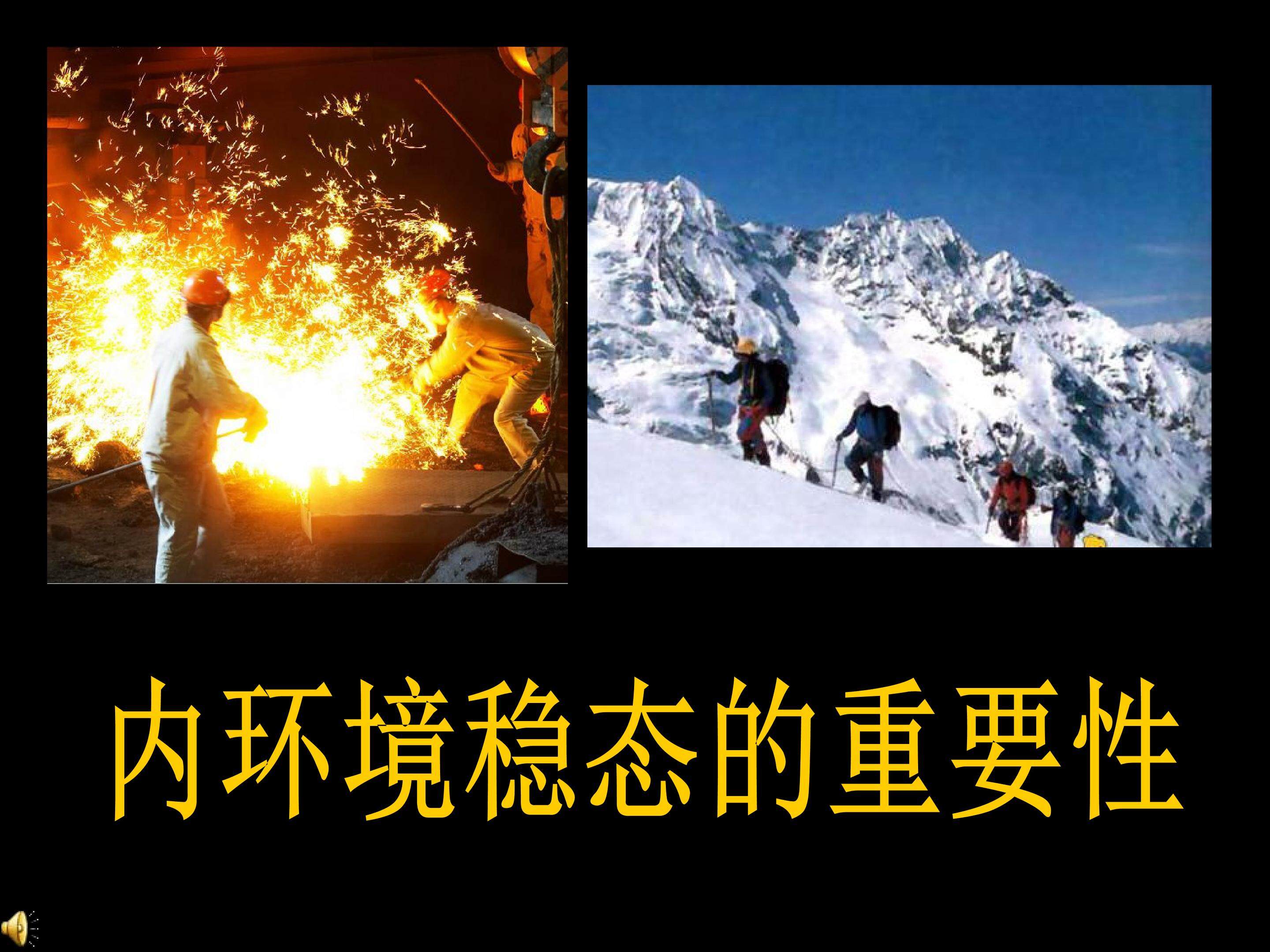 1-2 内环境稳态的重要性