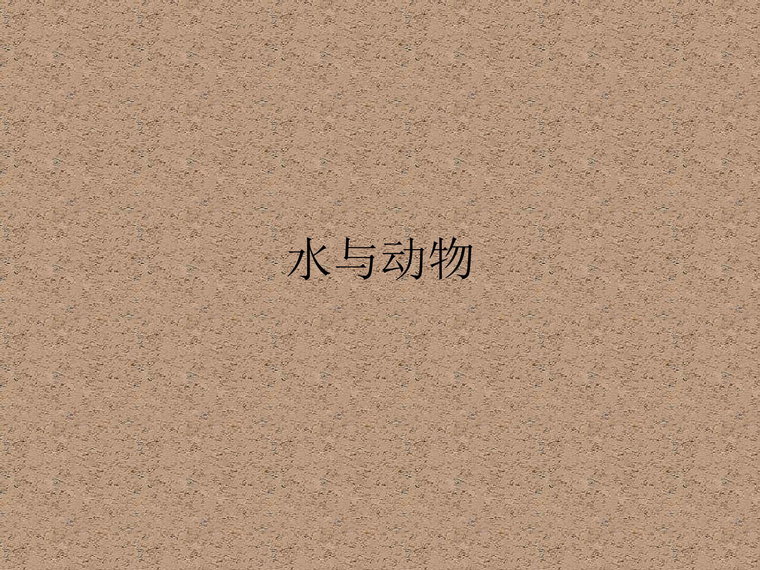 水与动物