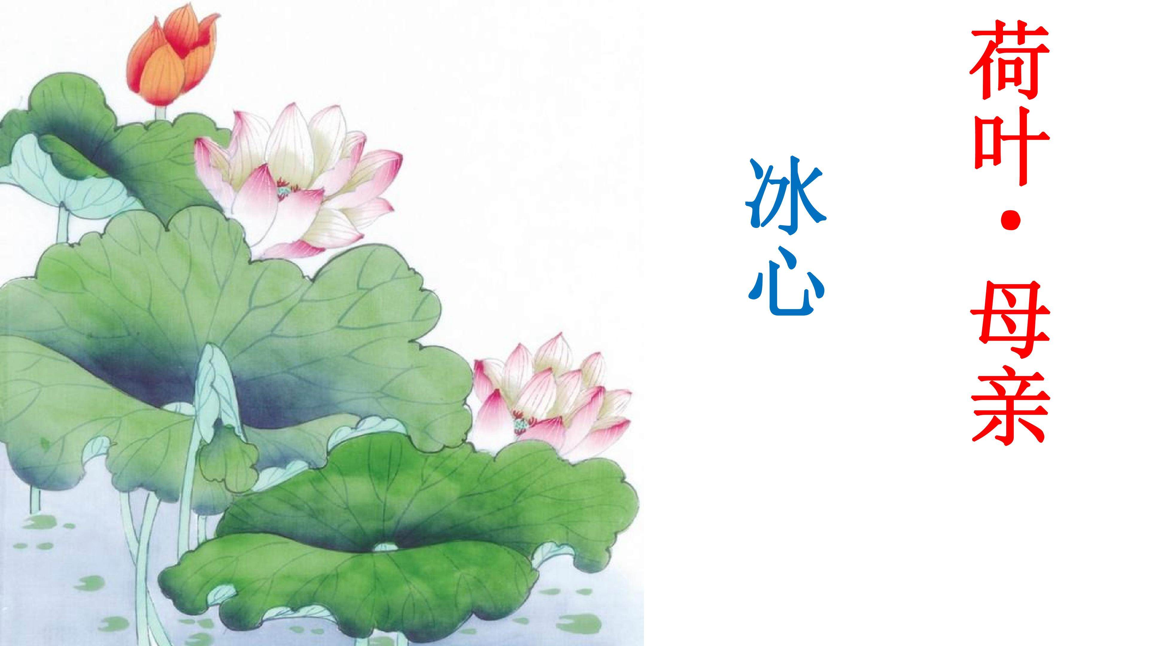 荷叶·母亲