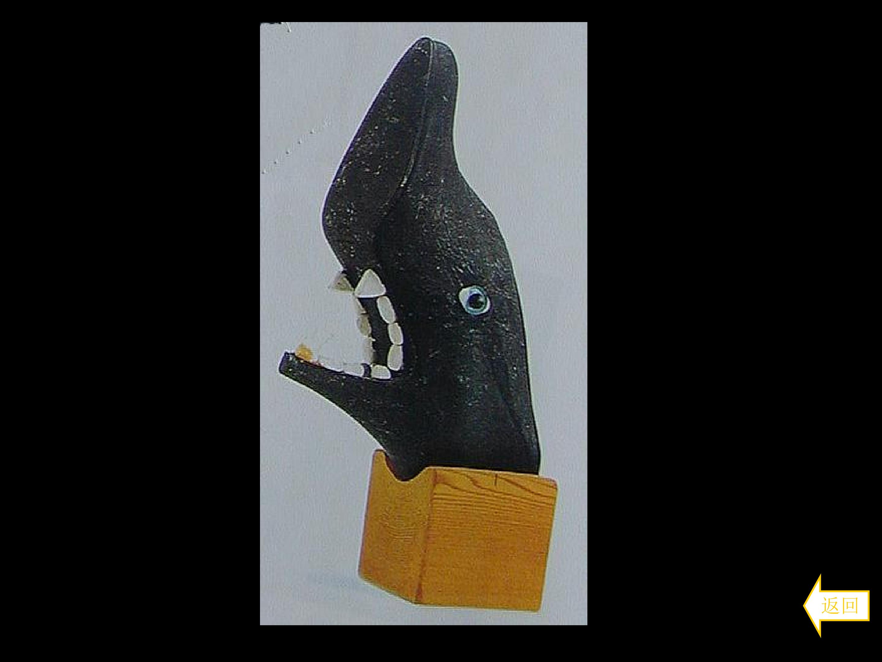 203.jpg