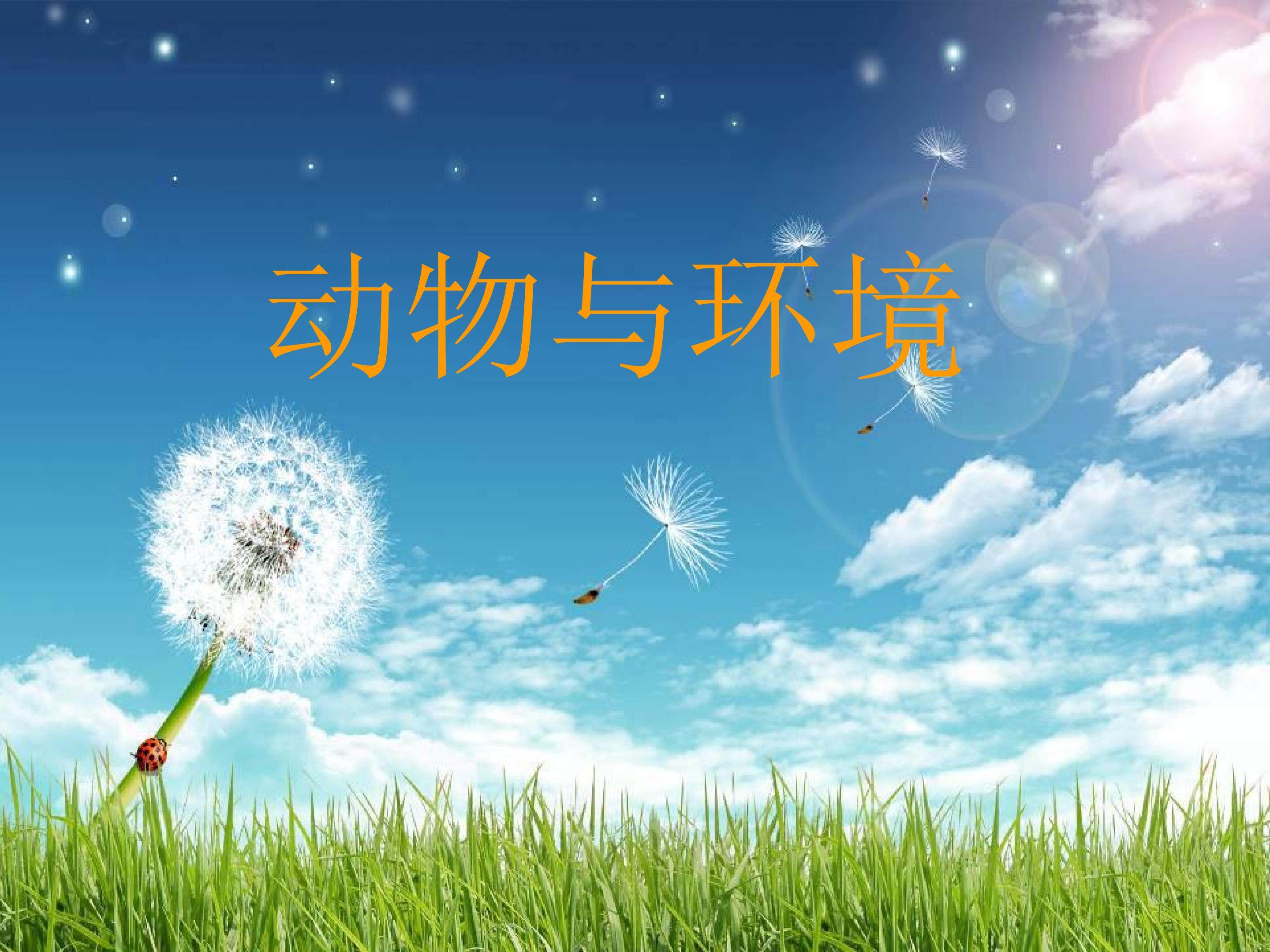 动物与环境