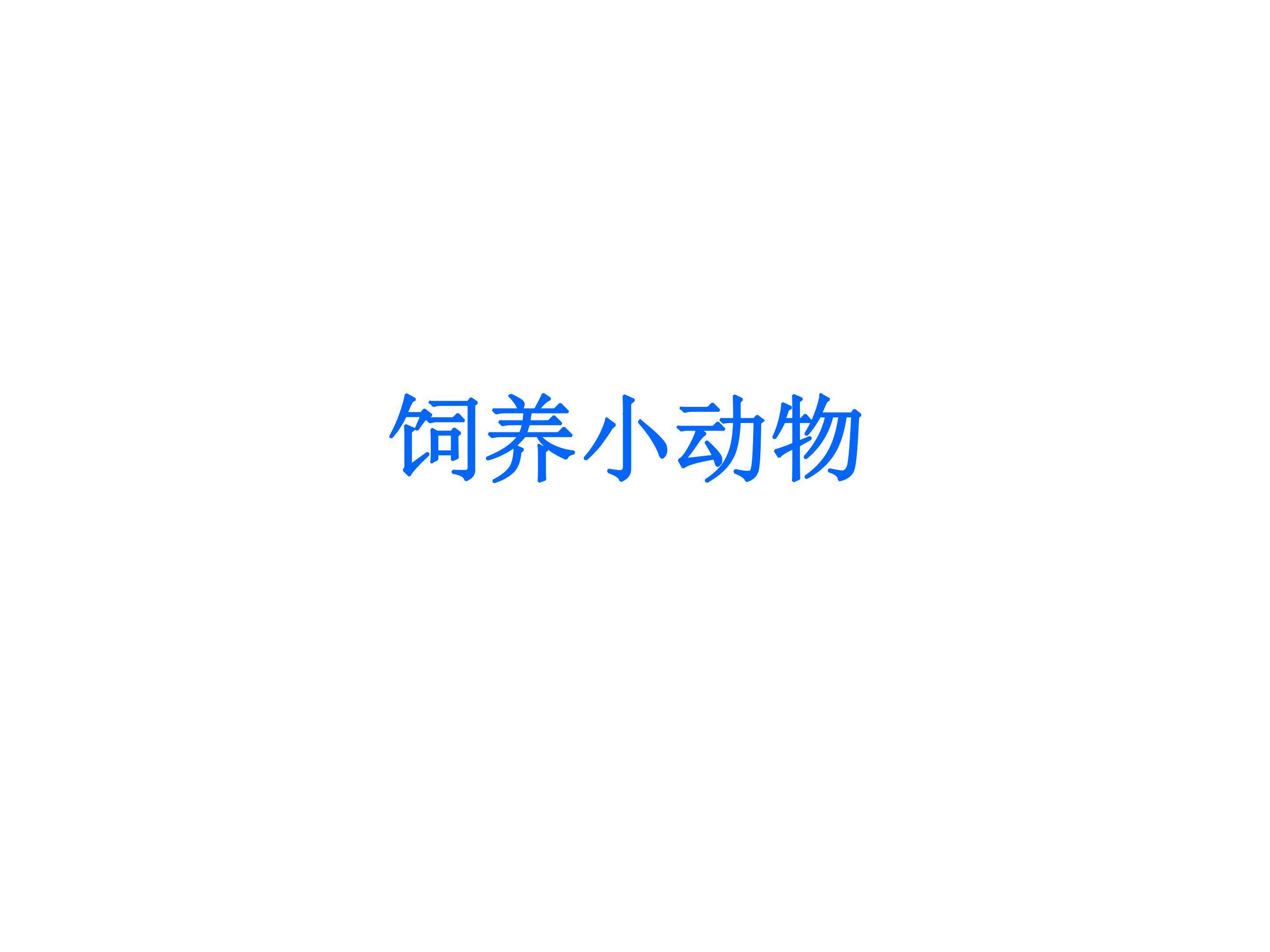 饲养小动物
