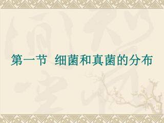 细菌和真菌的分布