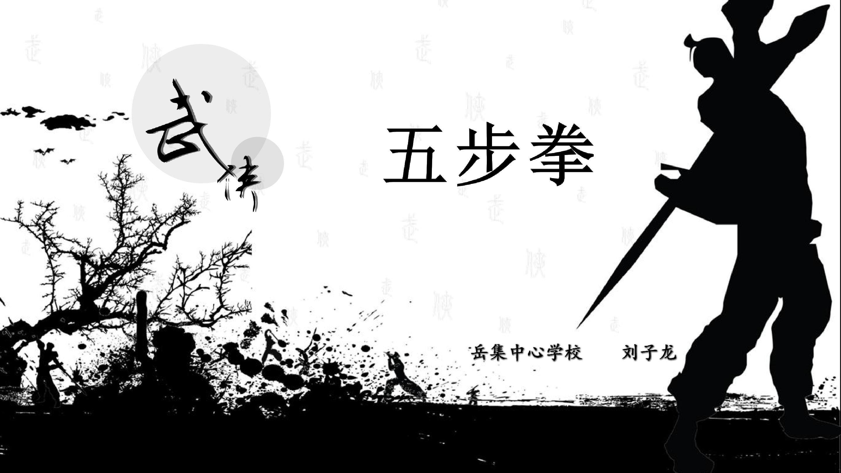 武术：五步拳