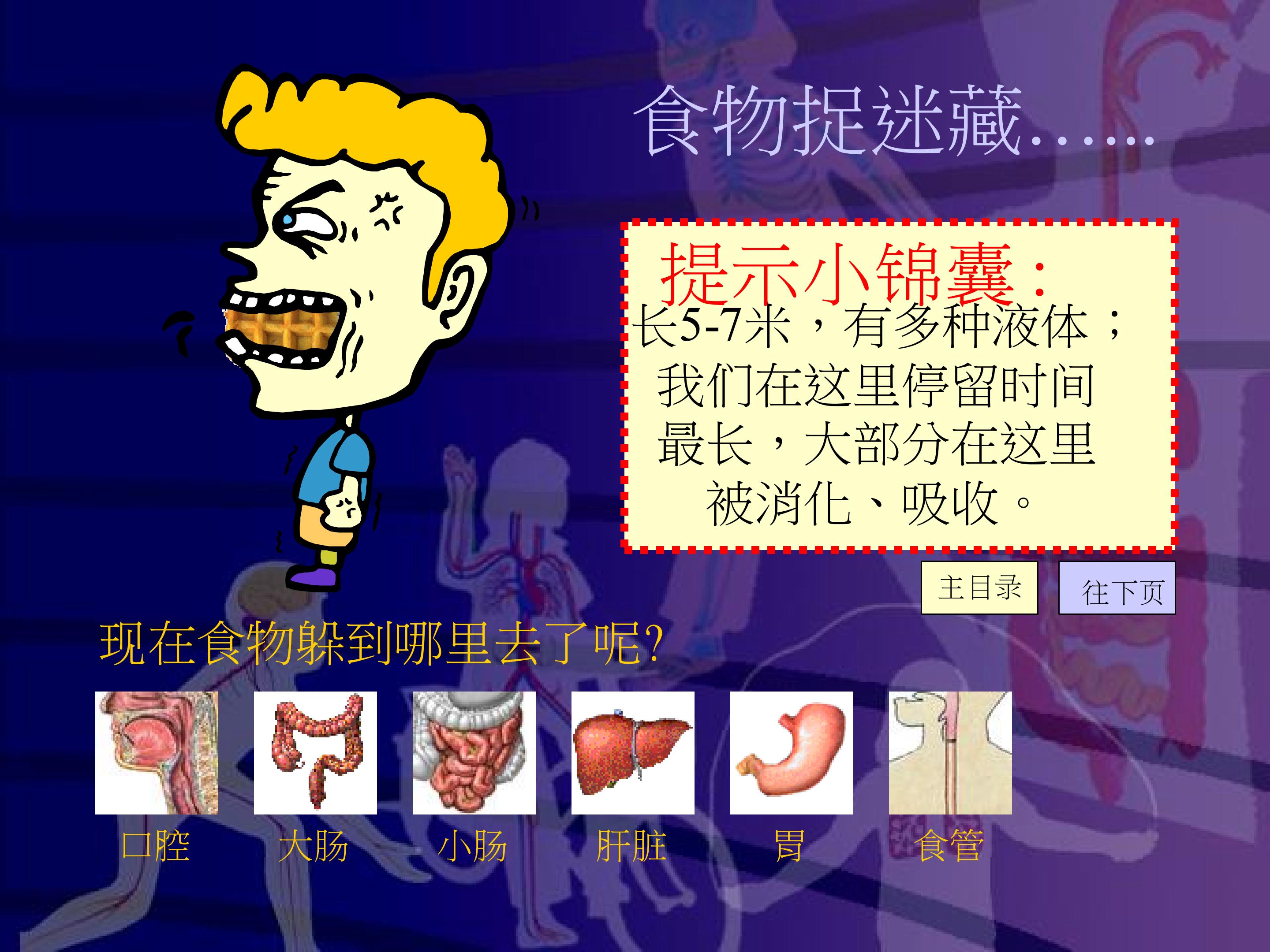 15.jpg