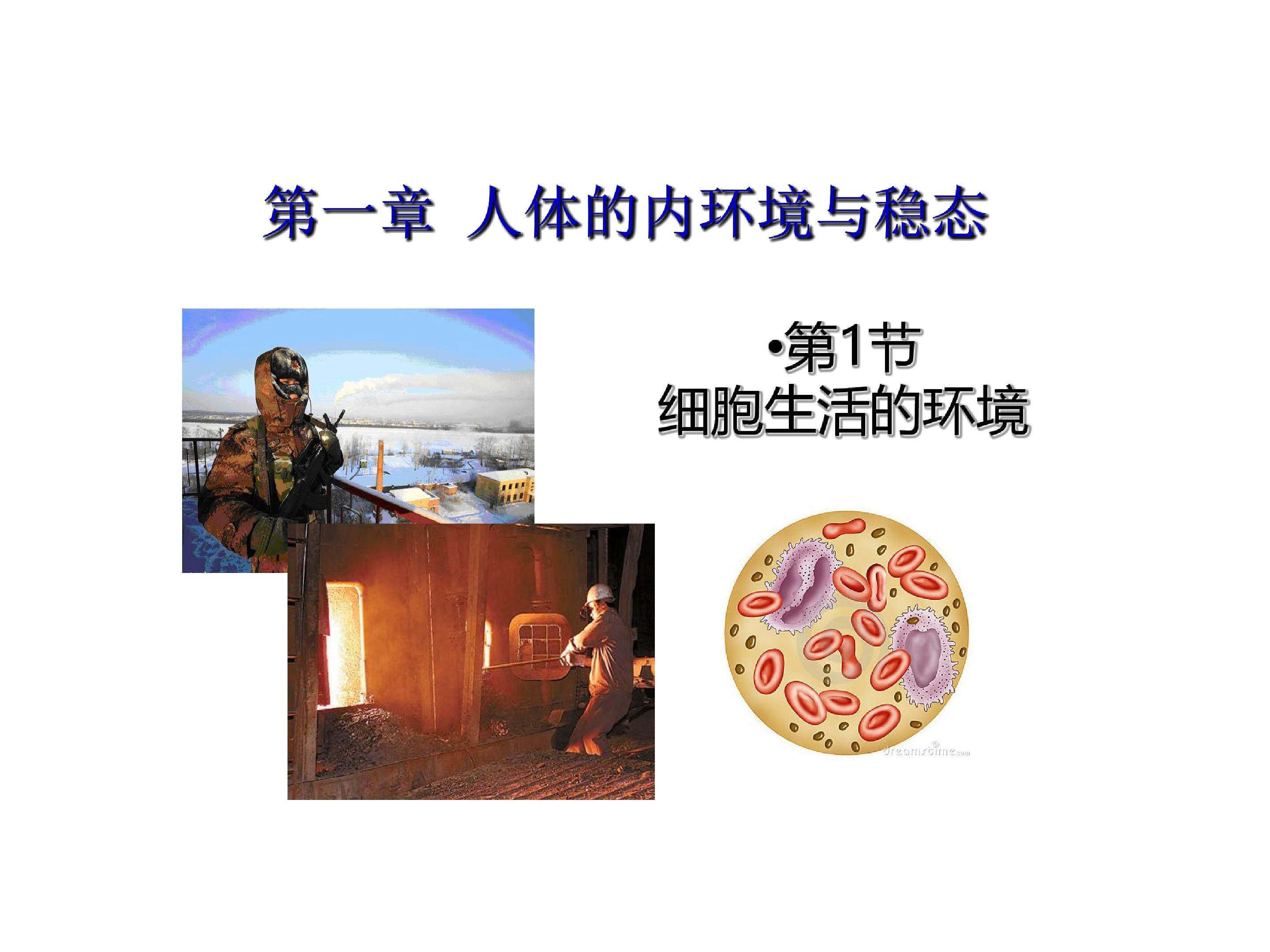 细胞生活的环境