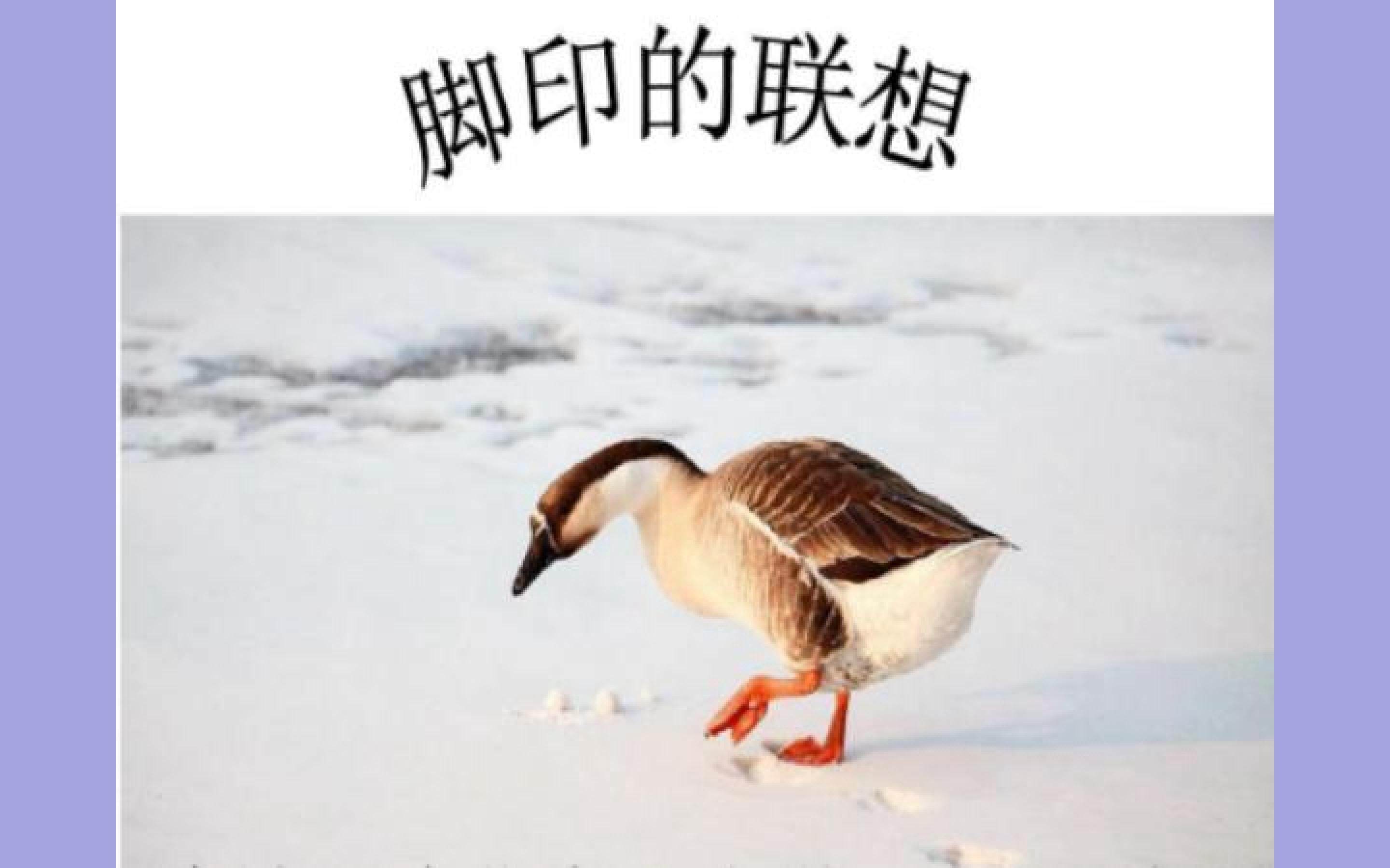 脚印的联想