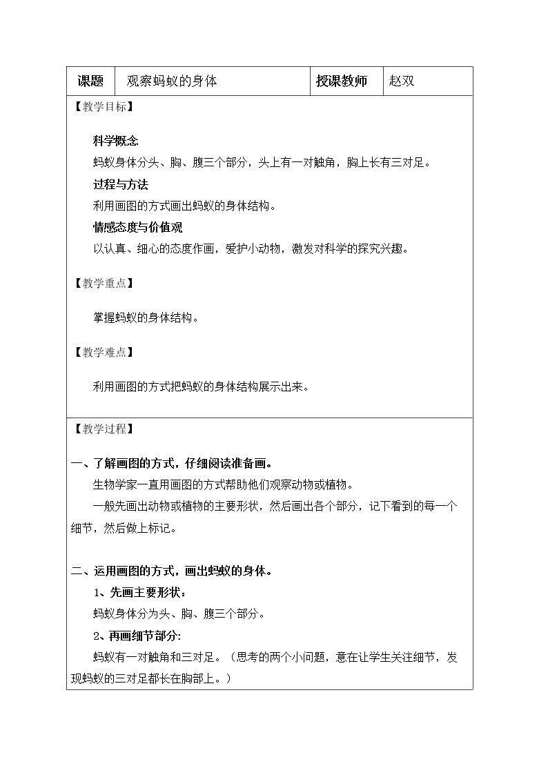 观察蚂蚁的身体