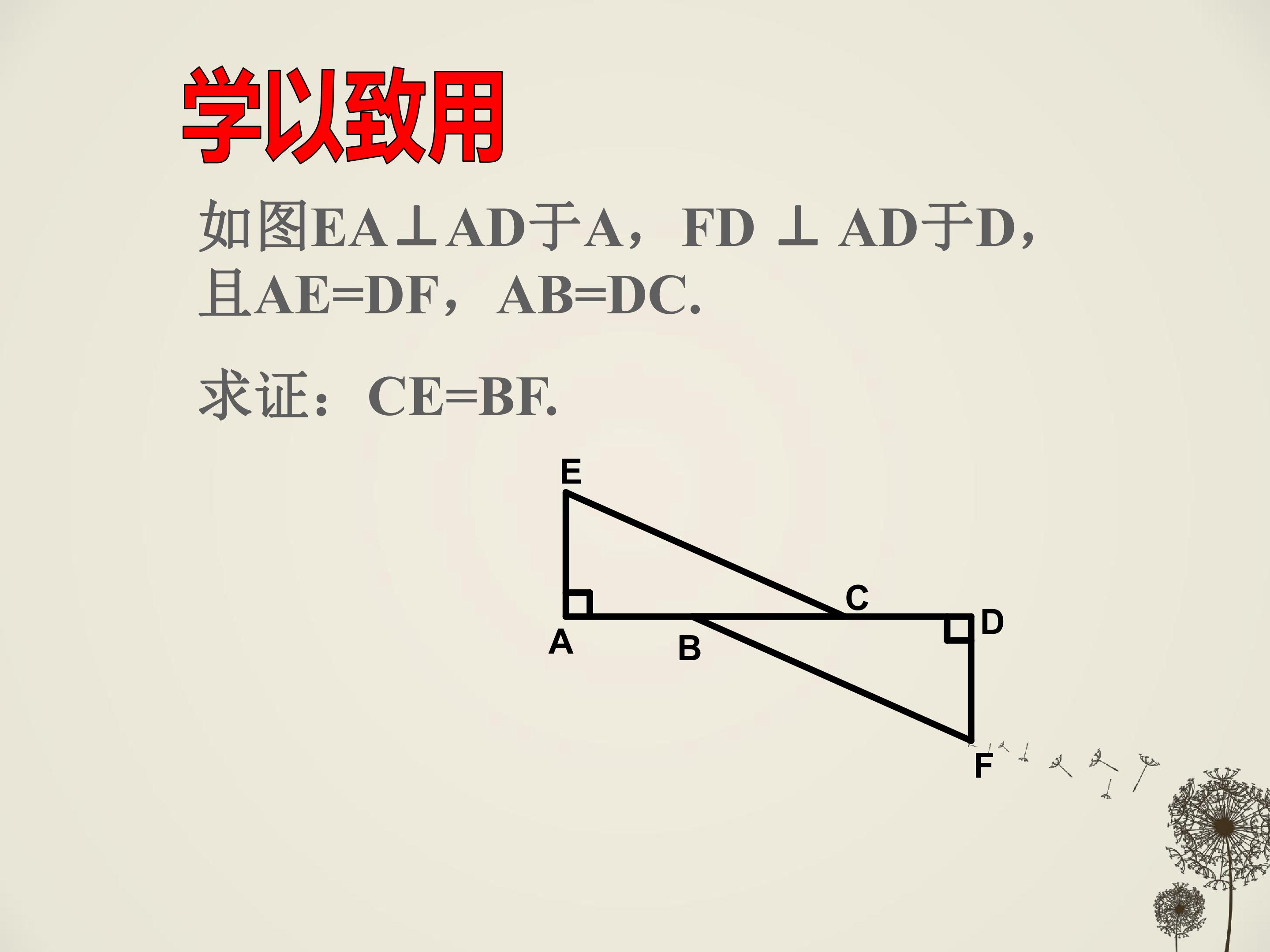 45.jpg