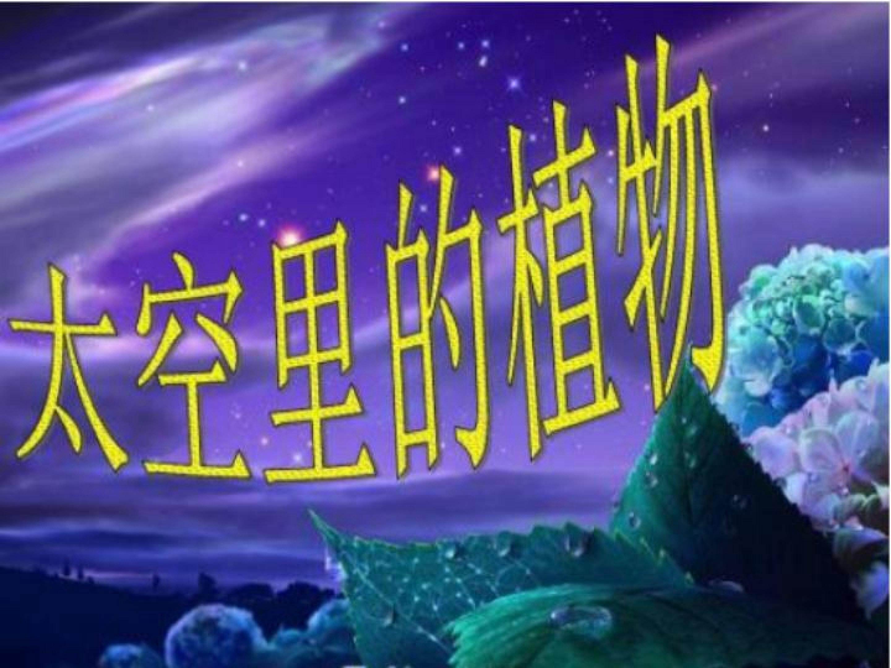 太空里的植物