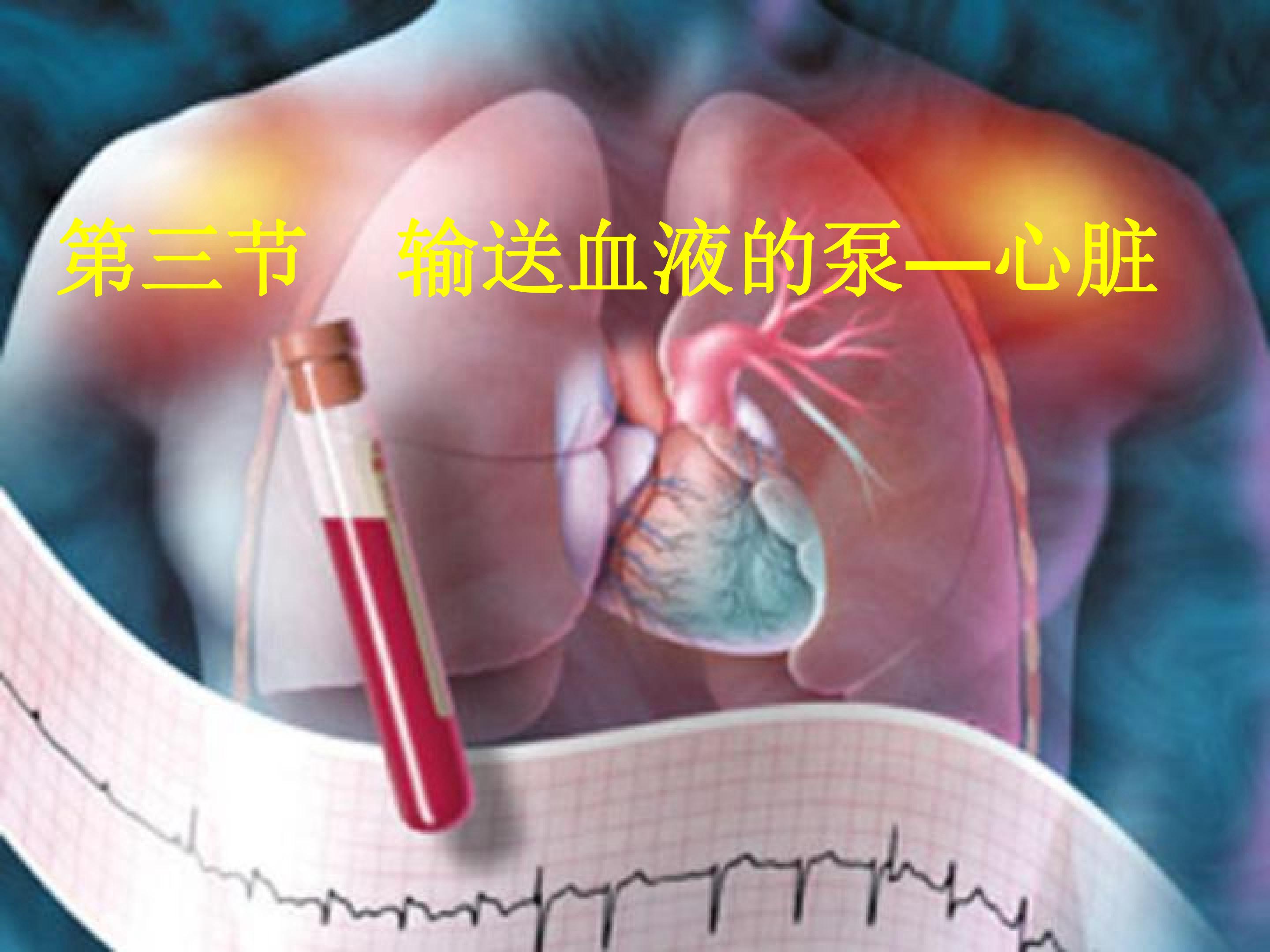 输送血液的泵──心脏 (1)