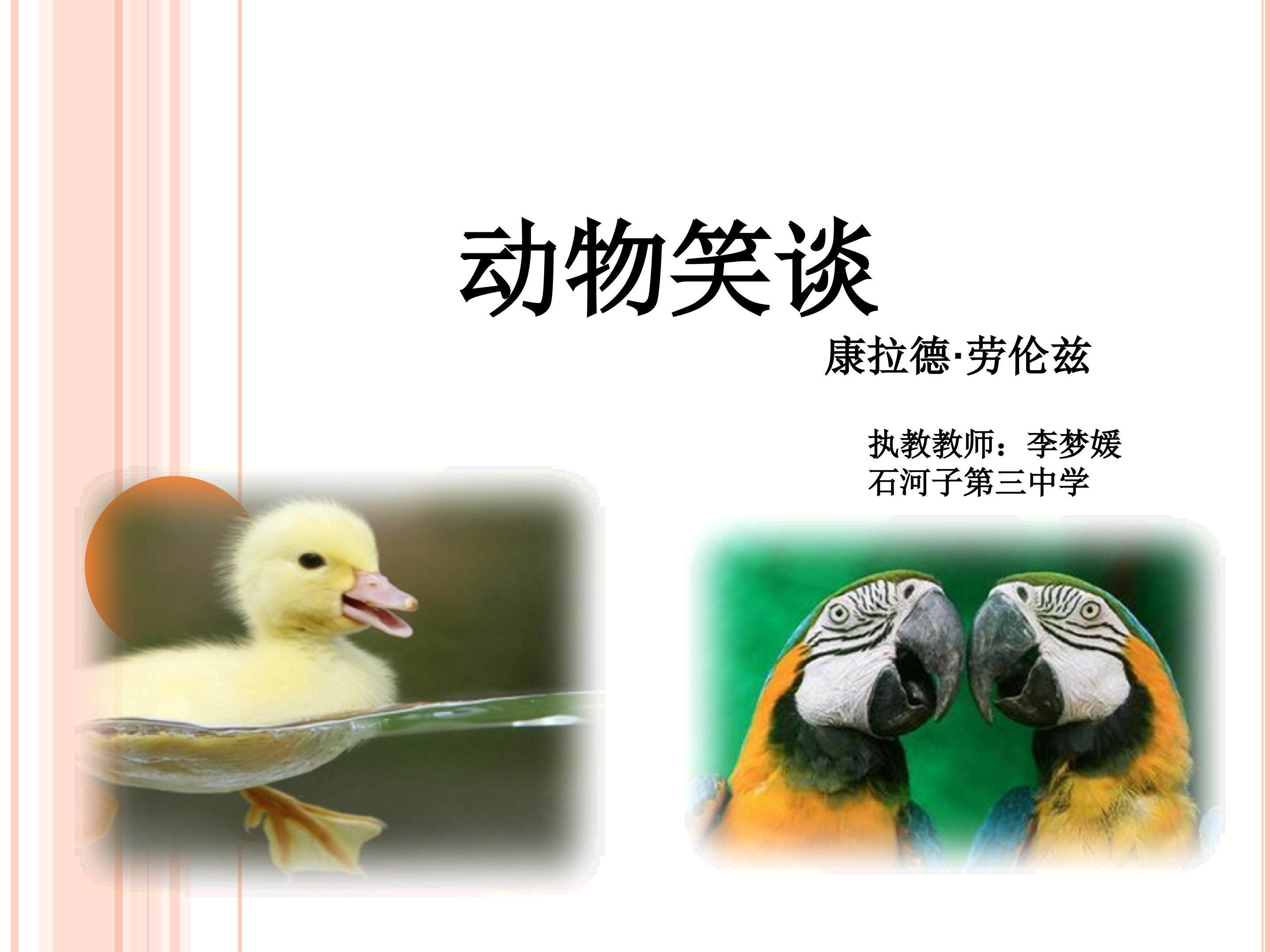 《动物笑谈》