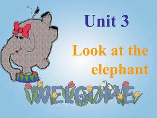 At the zoo (1)