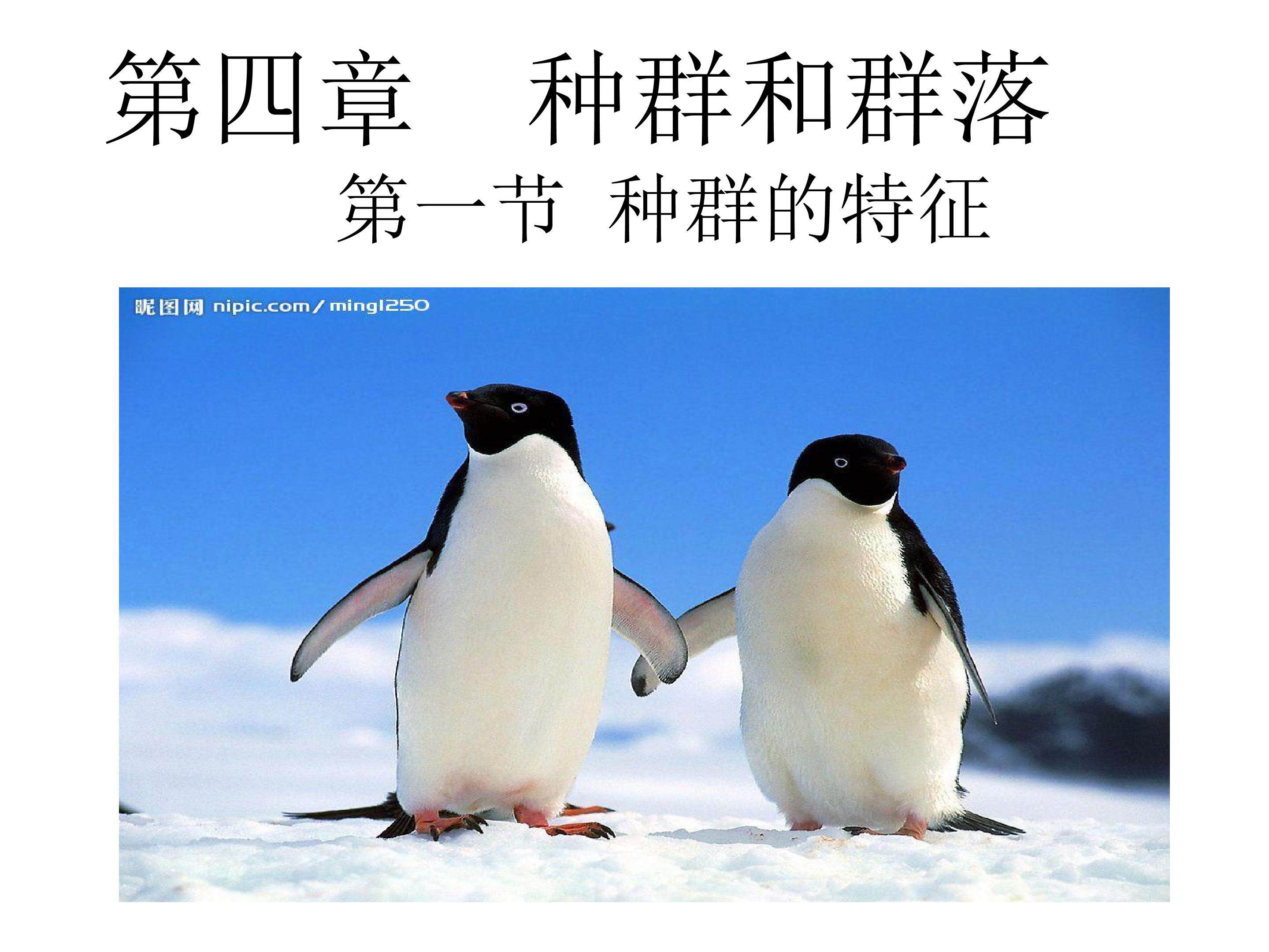种群的特征
