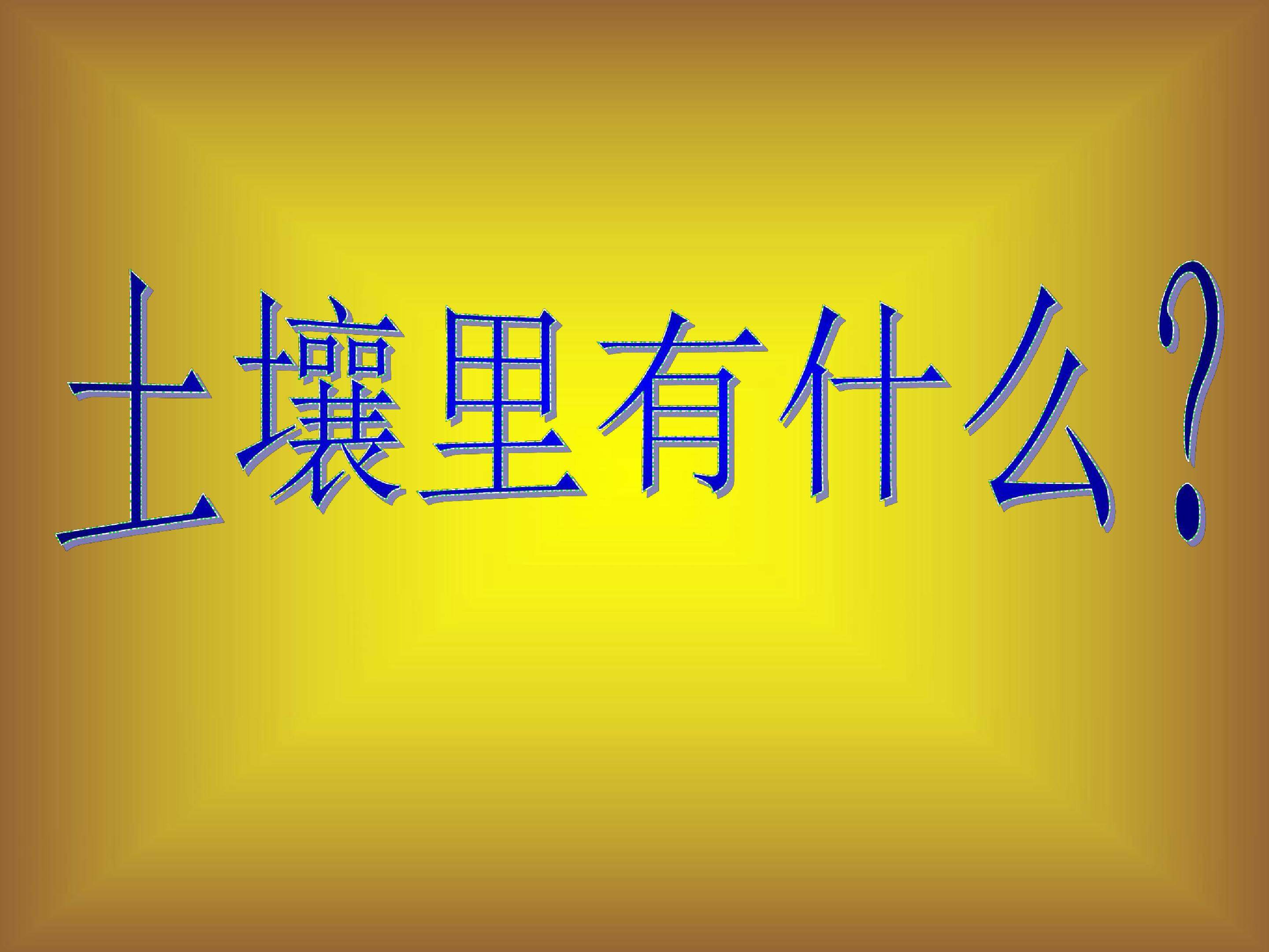土壤里有什么1