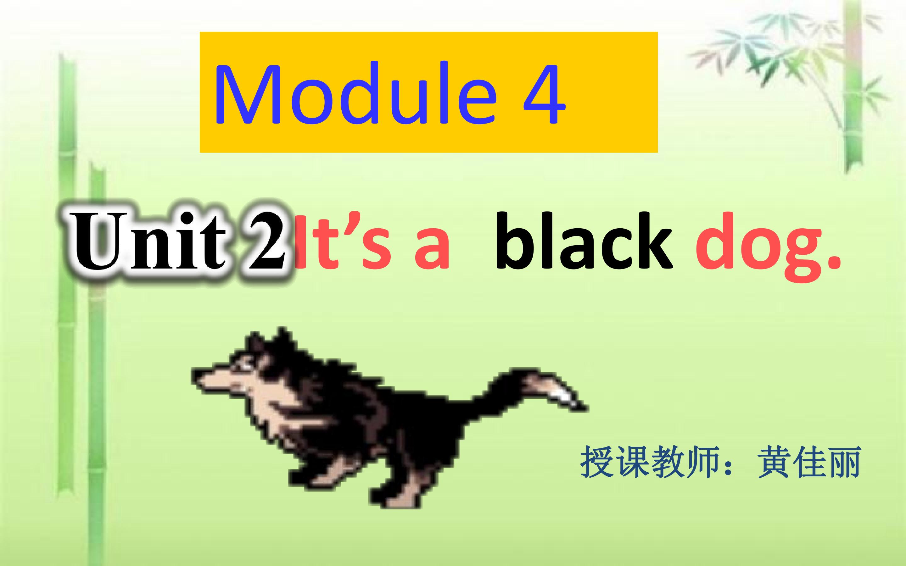 It's a black dog .