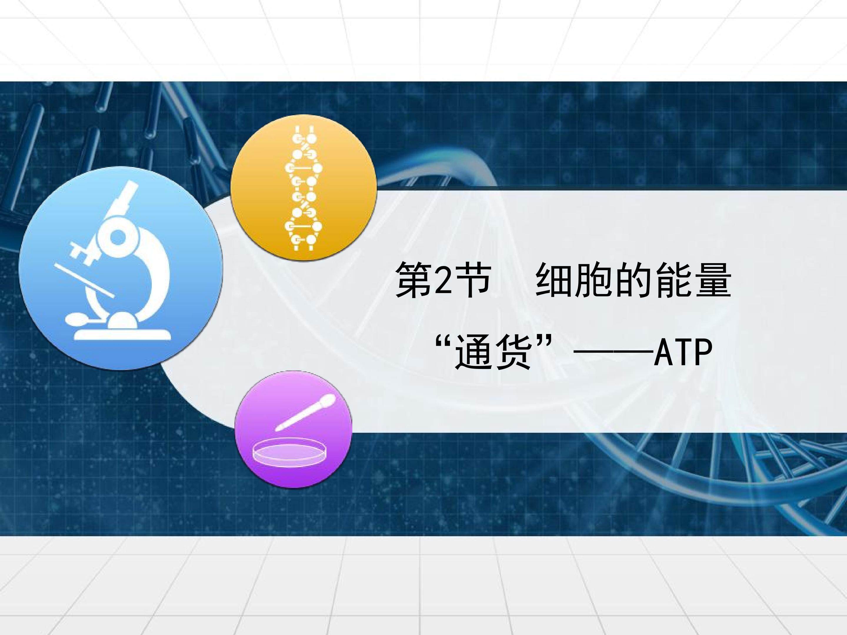 细胞的能量通货---ATP