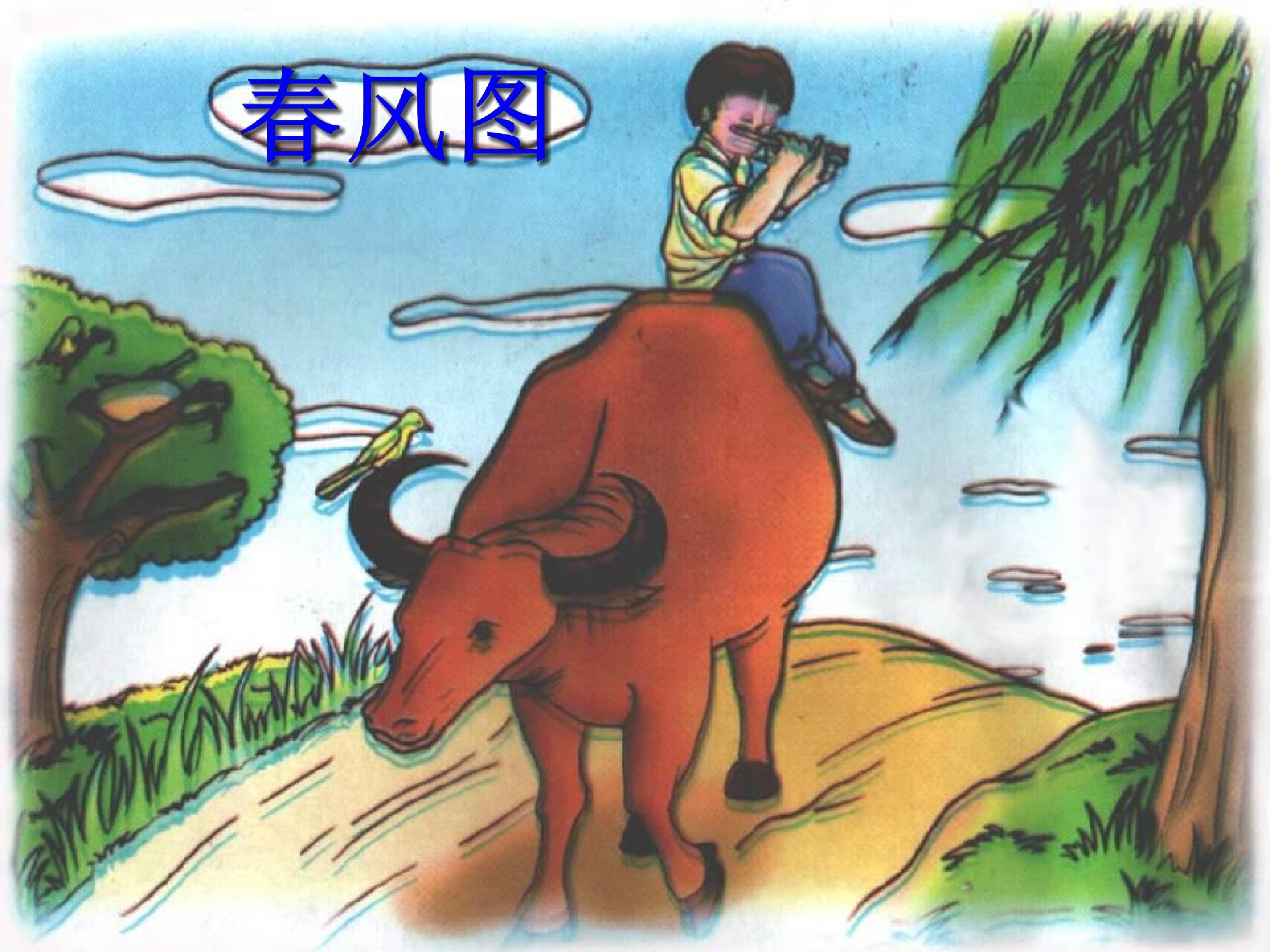 17.jpg