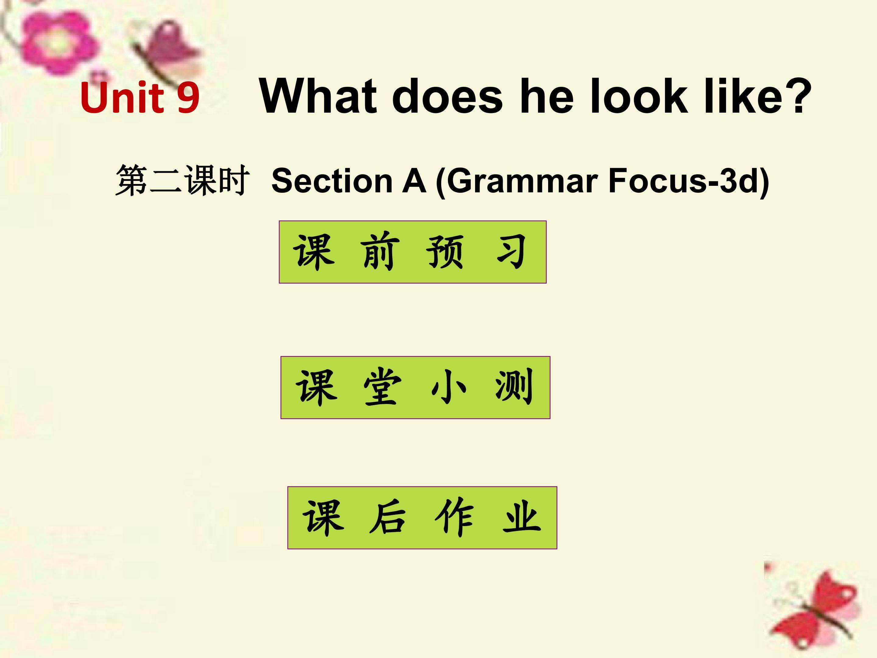 What does he look like Section A