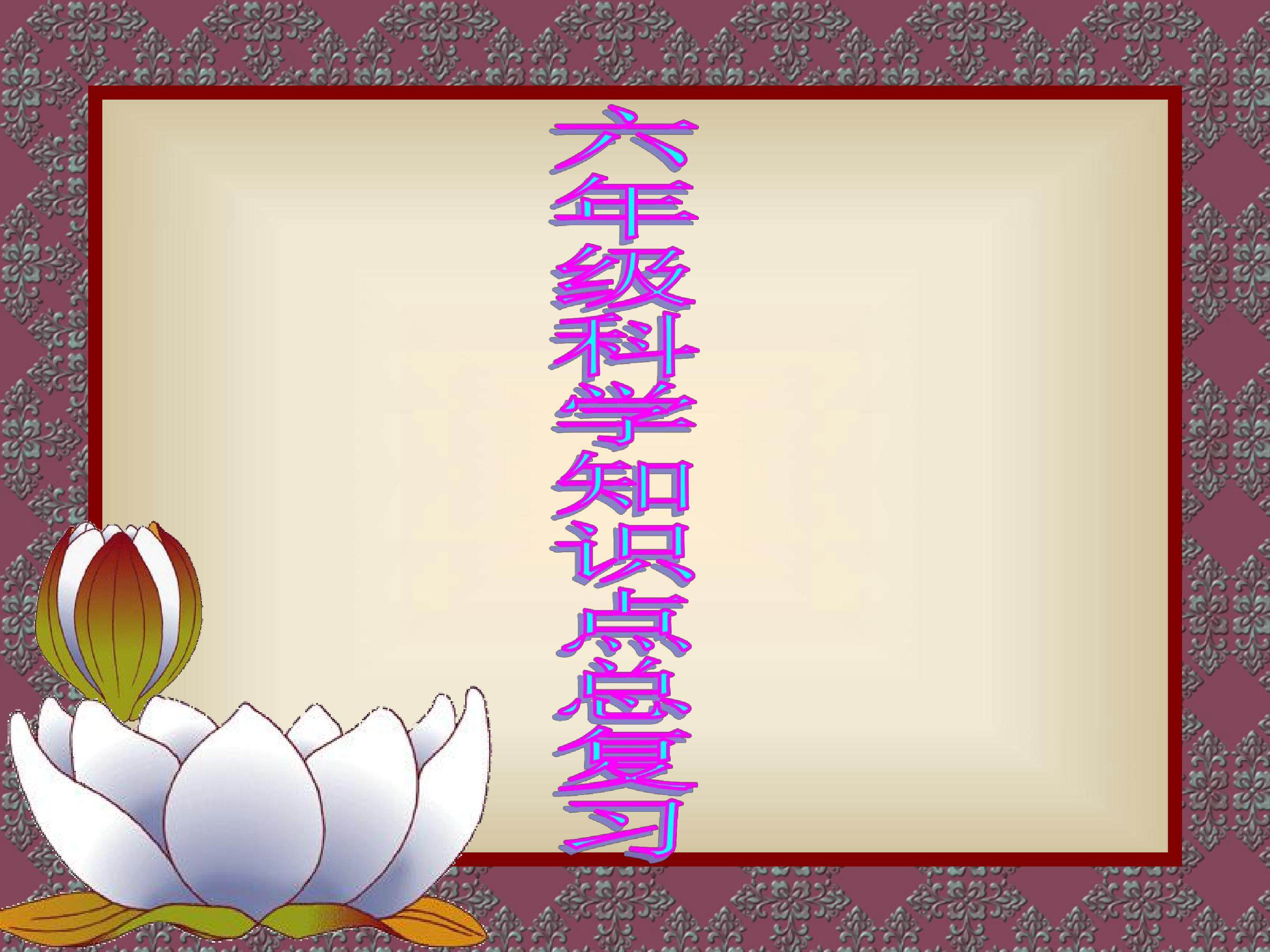 知识复习