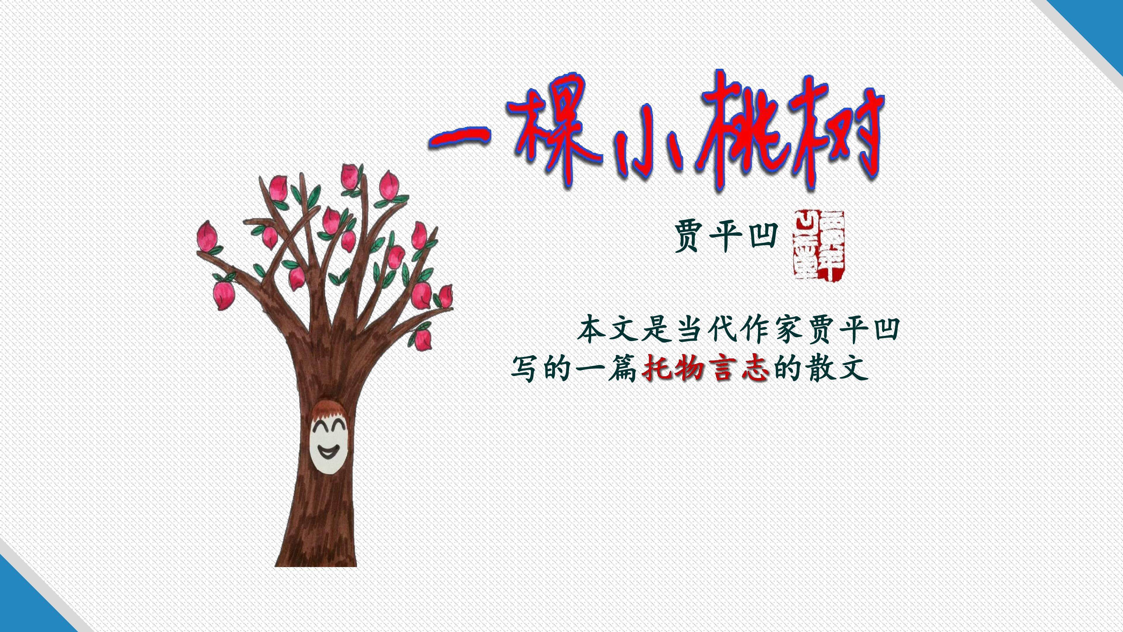 一颗小桃树