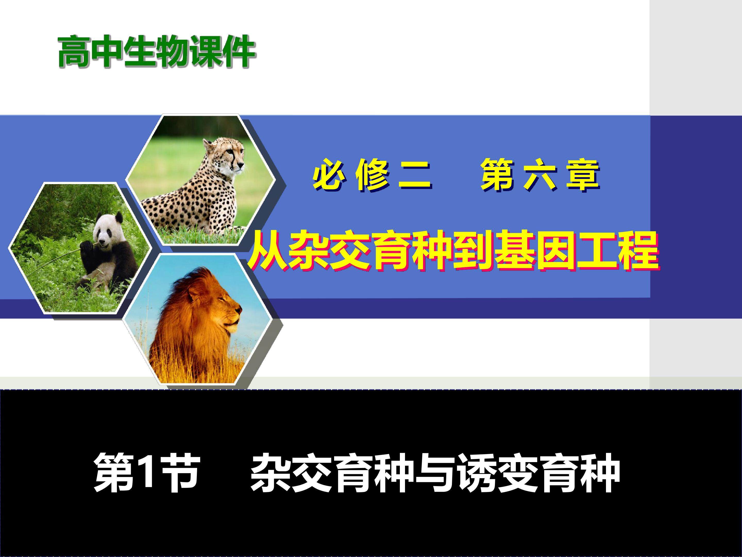 杂交育种与诱变育种