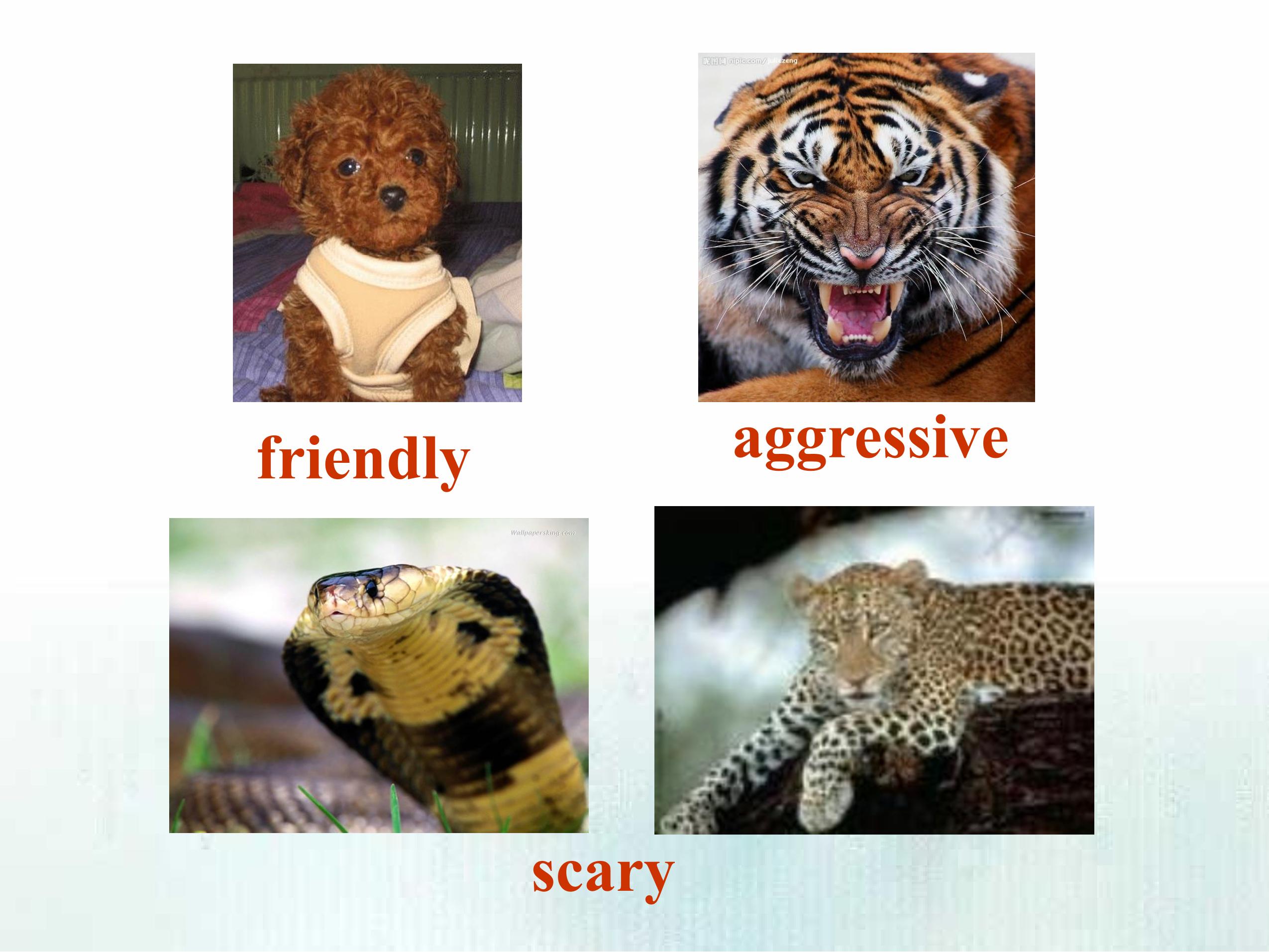 56.jpg