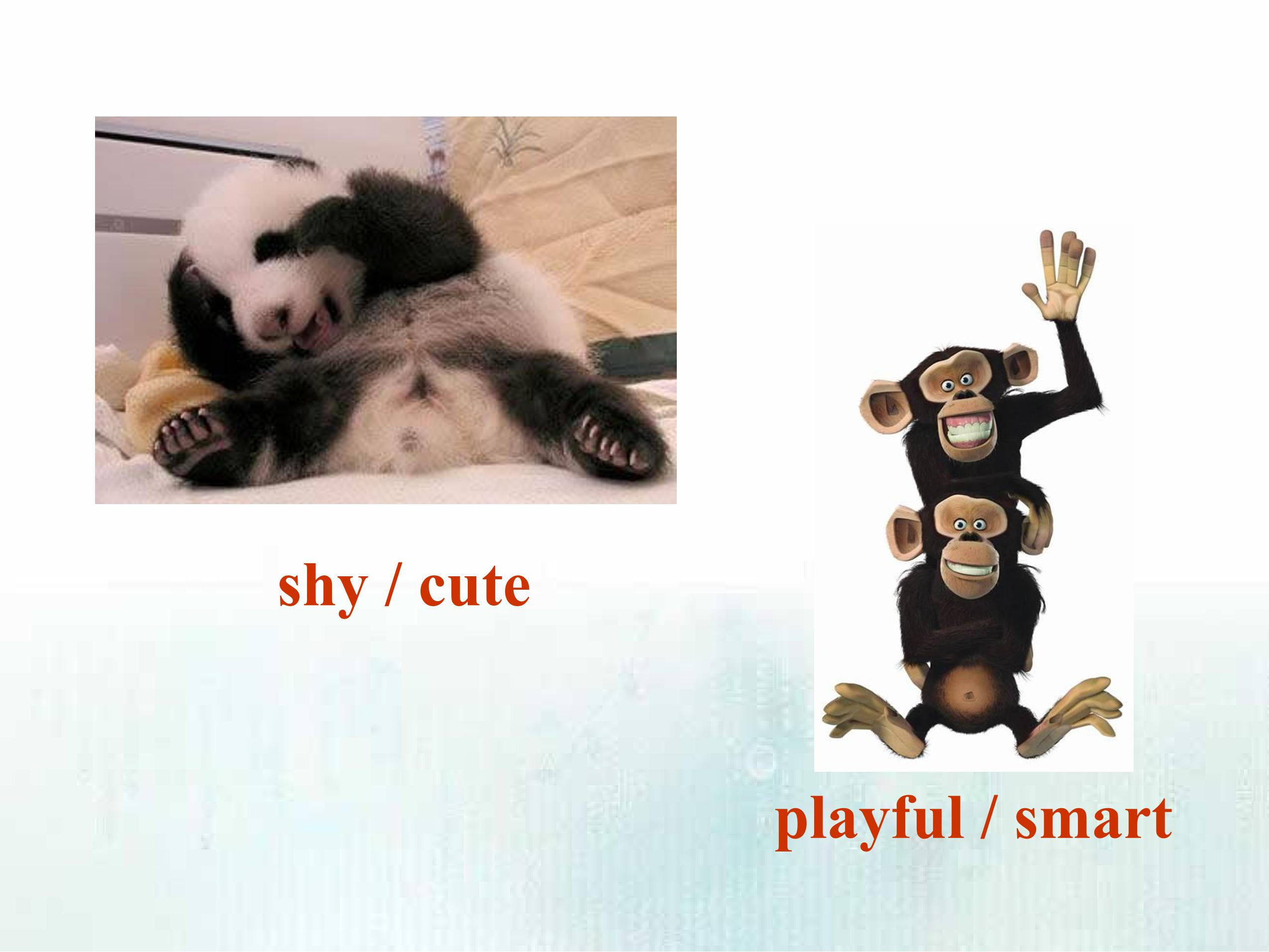 57.jpg