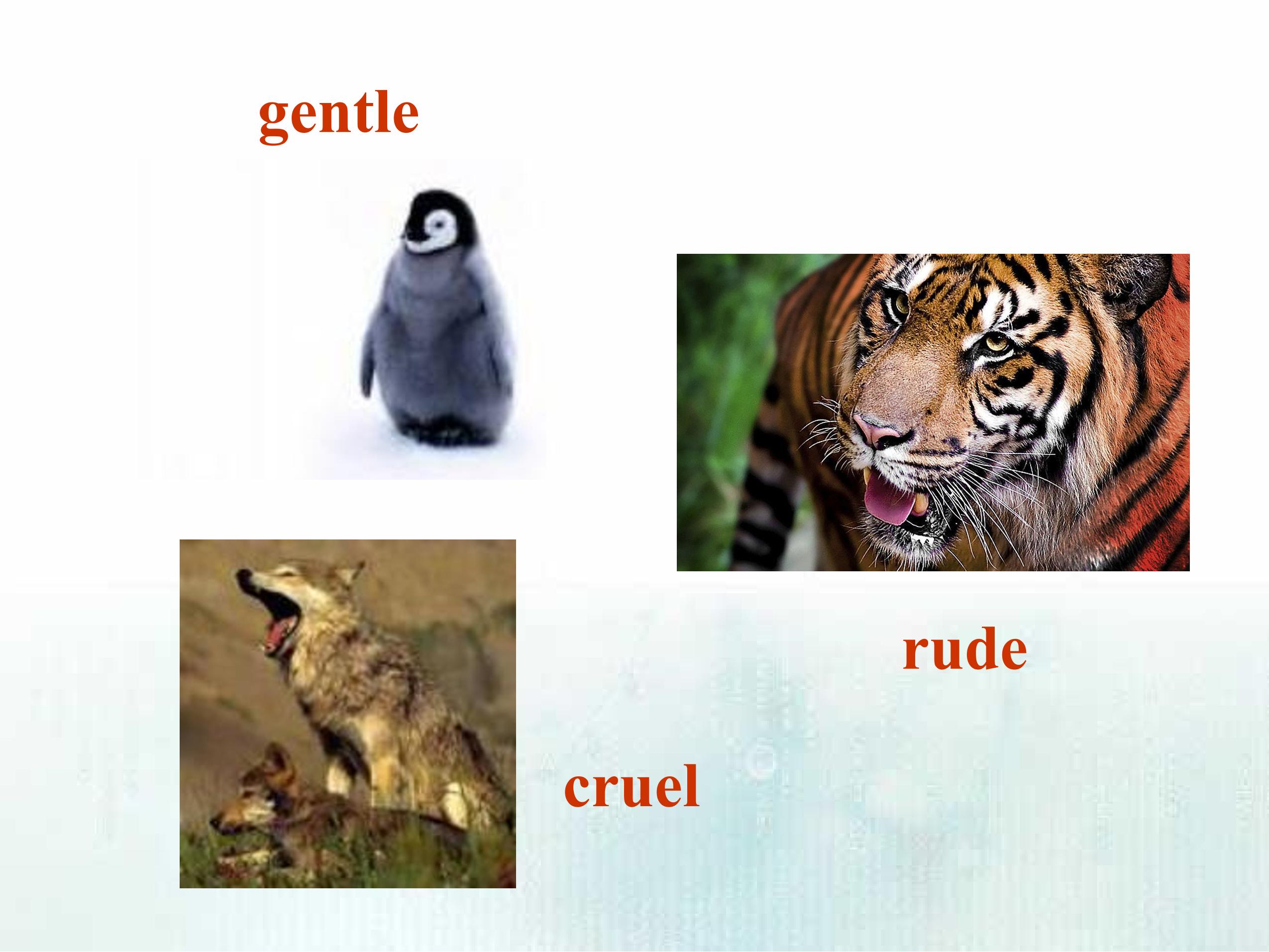 60.jpg