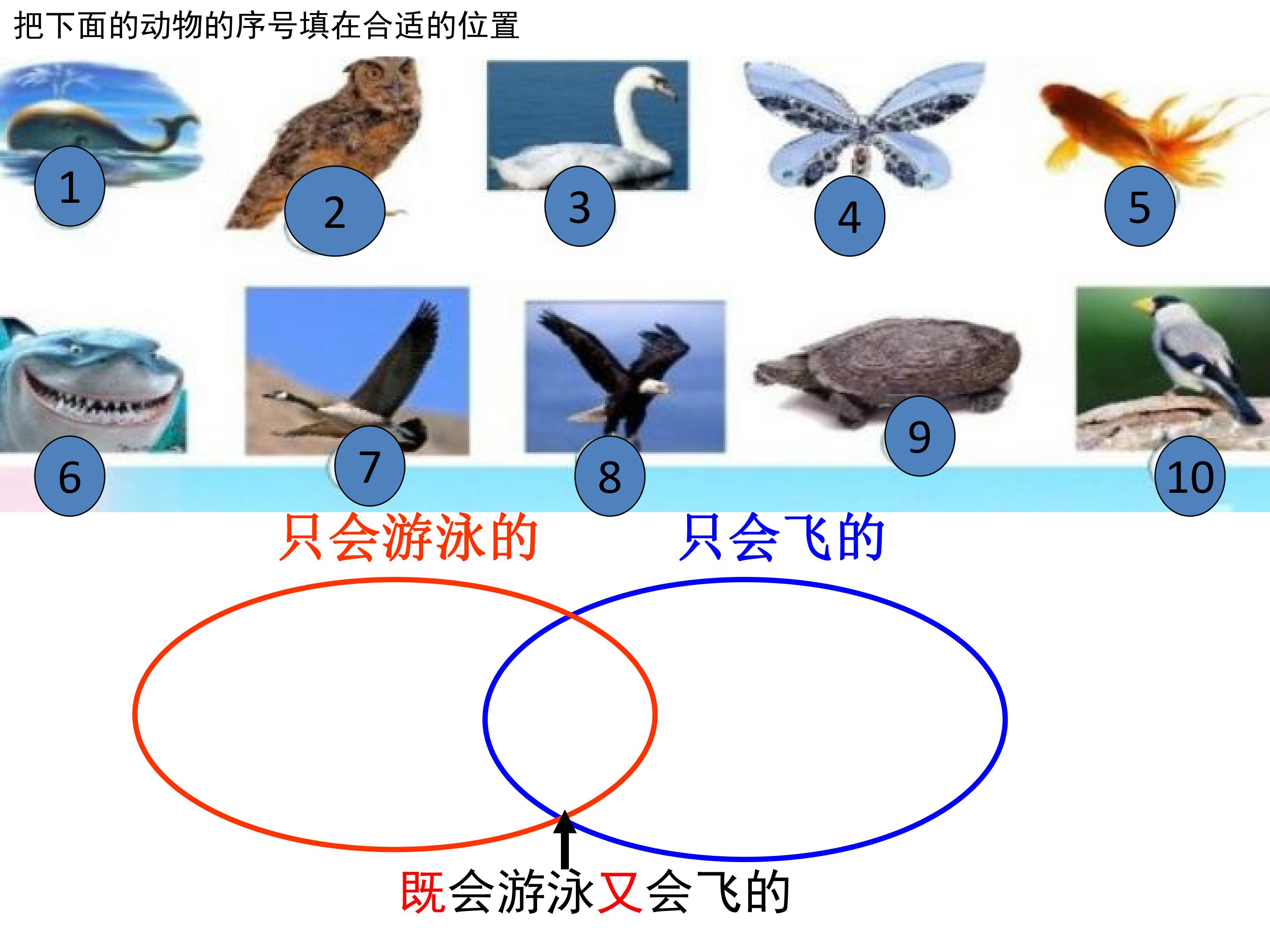 18.jpg