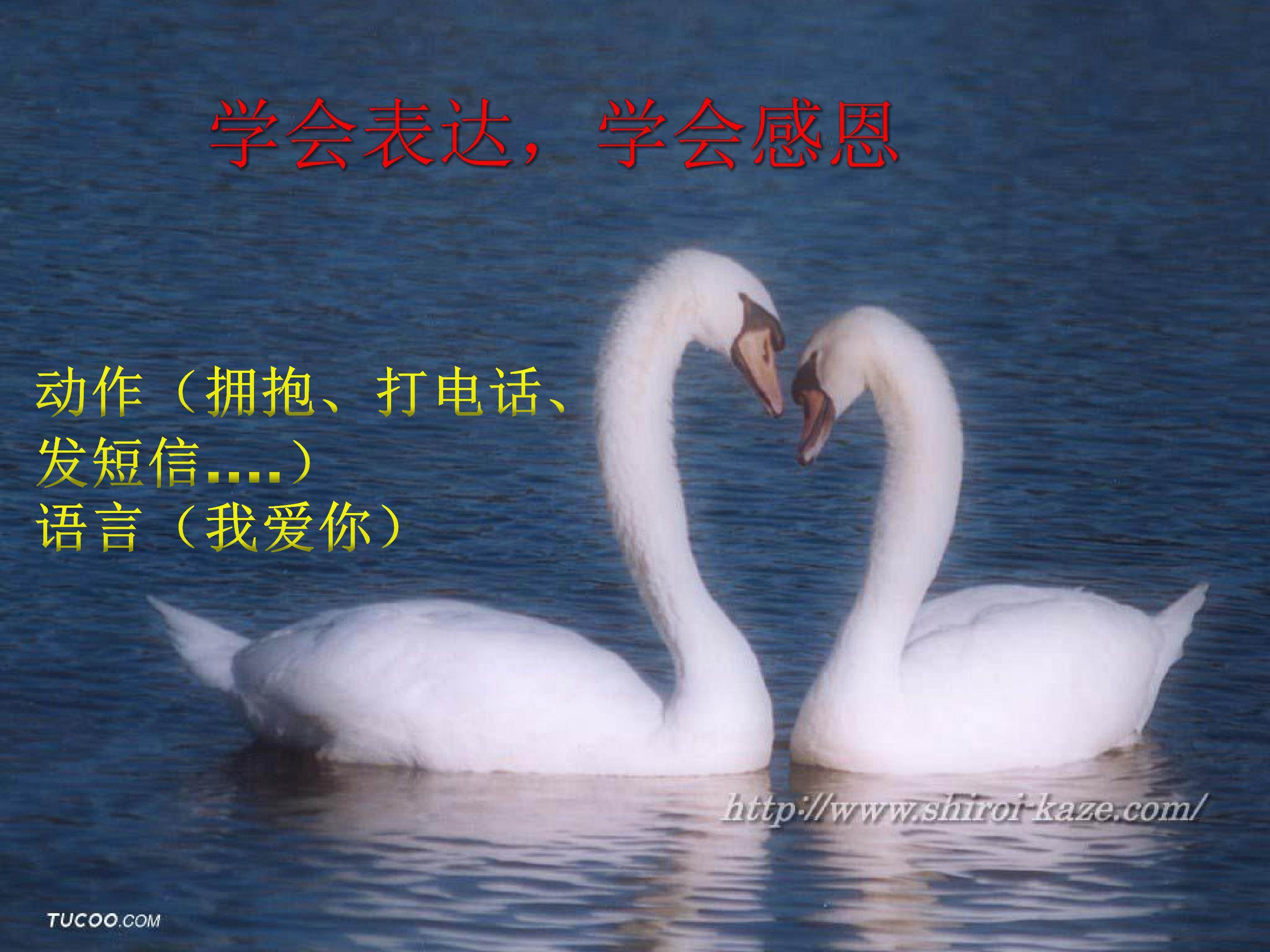 第五章第四节生态系统的信息传递