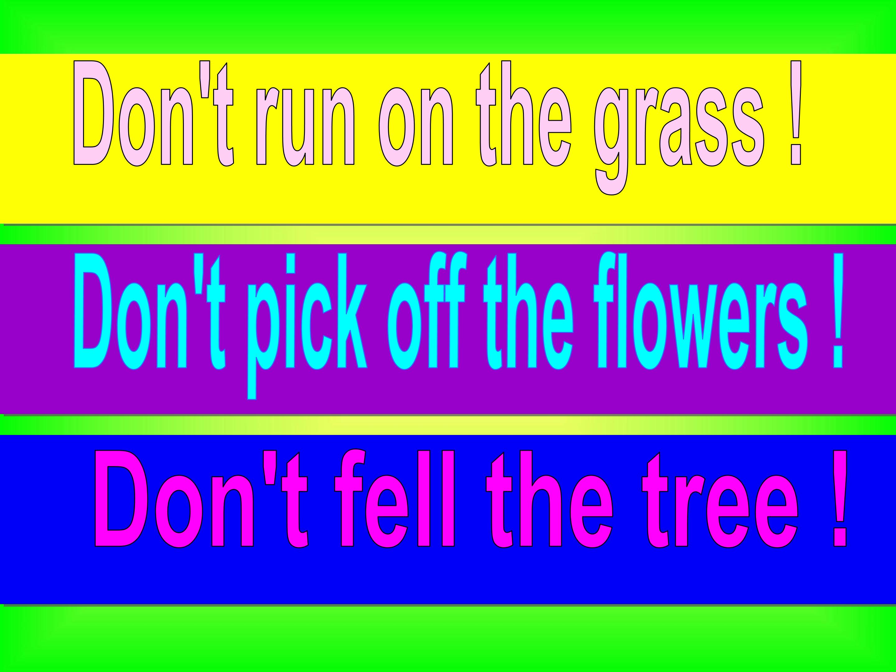 64.jpg