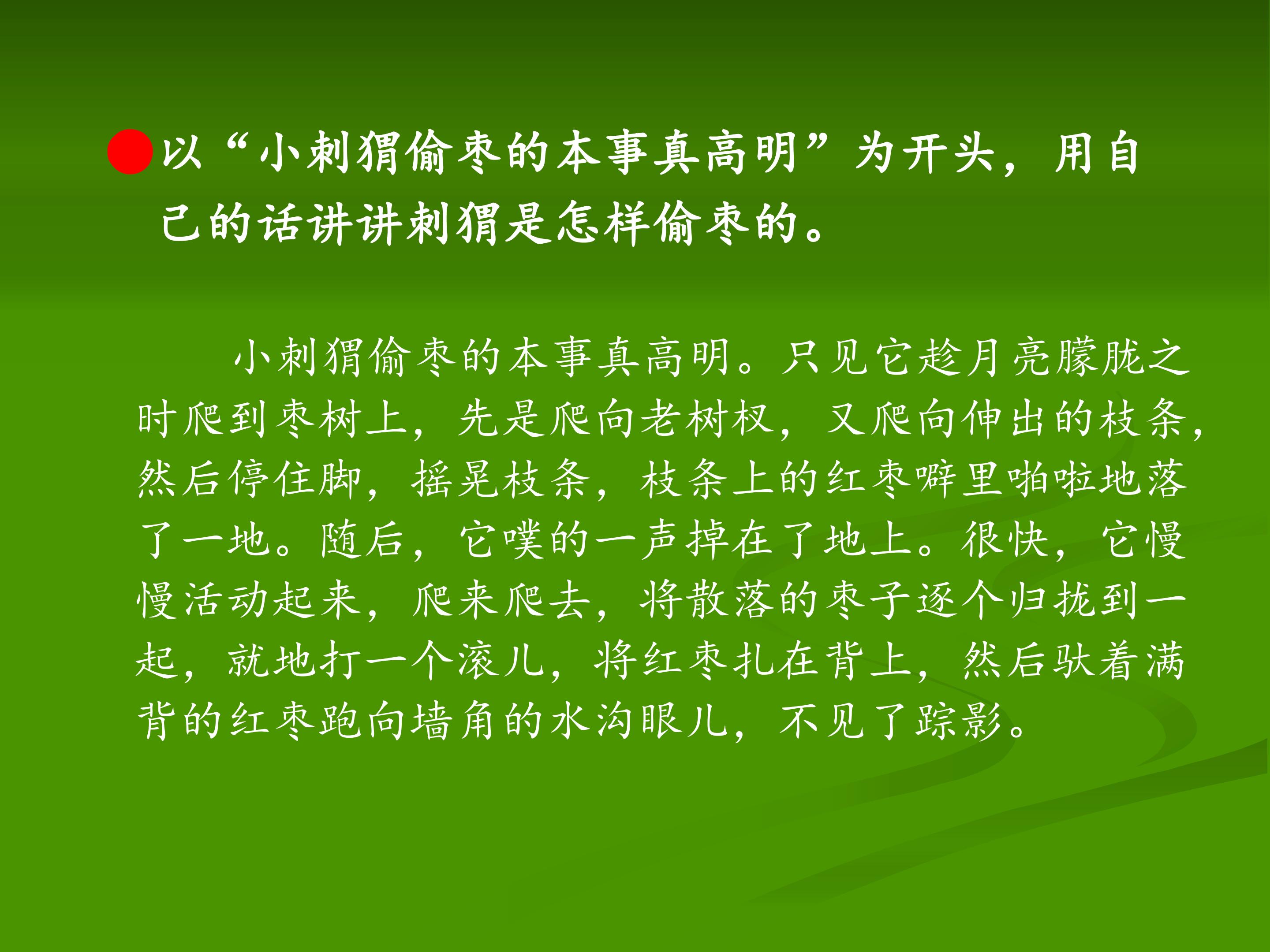 20.jpg
