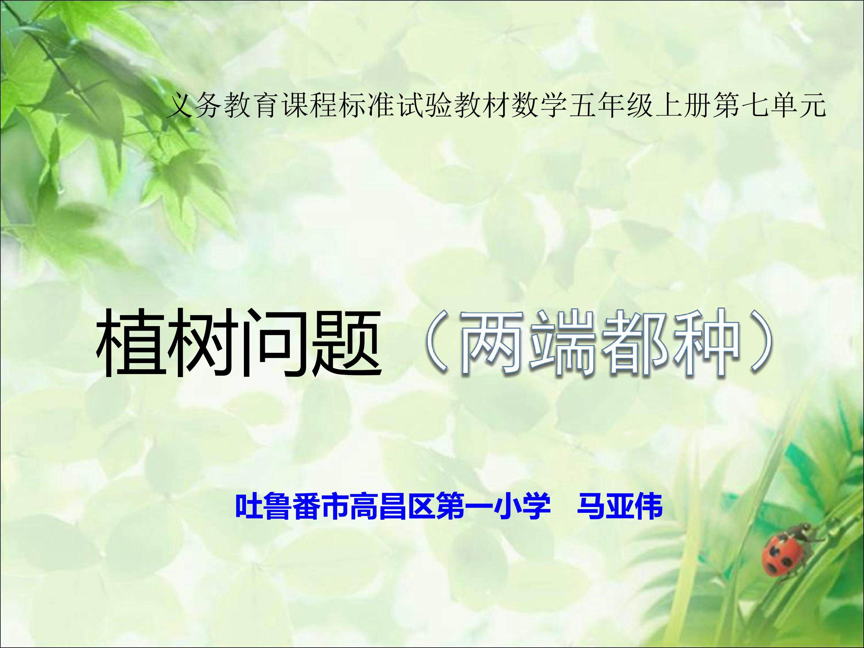 《植树问题》