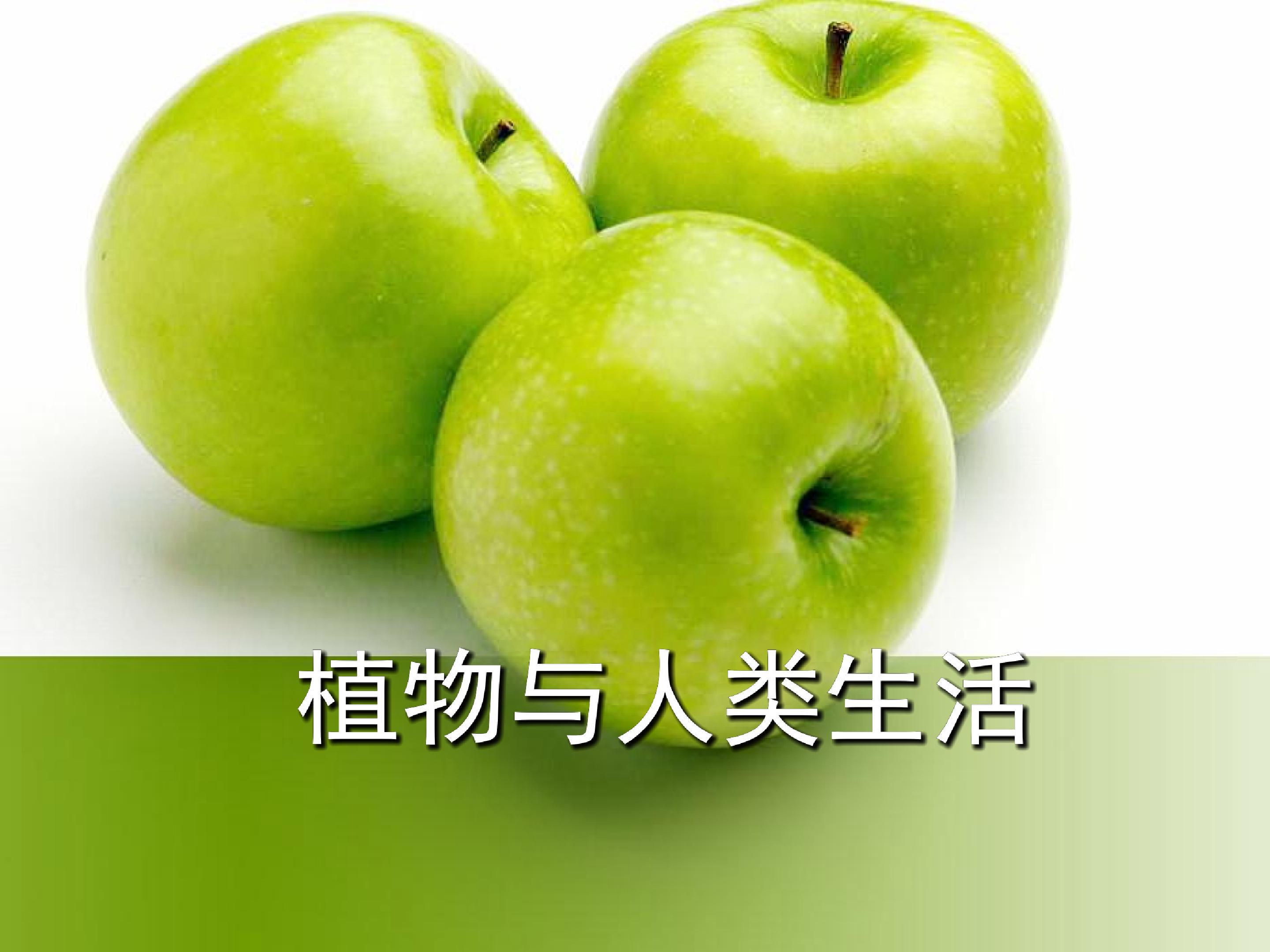植物和我们的生活2