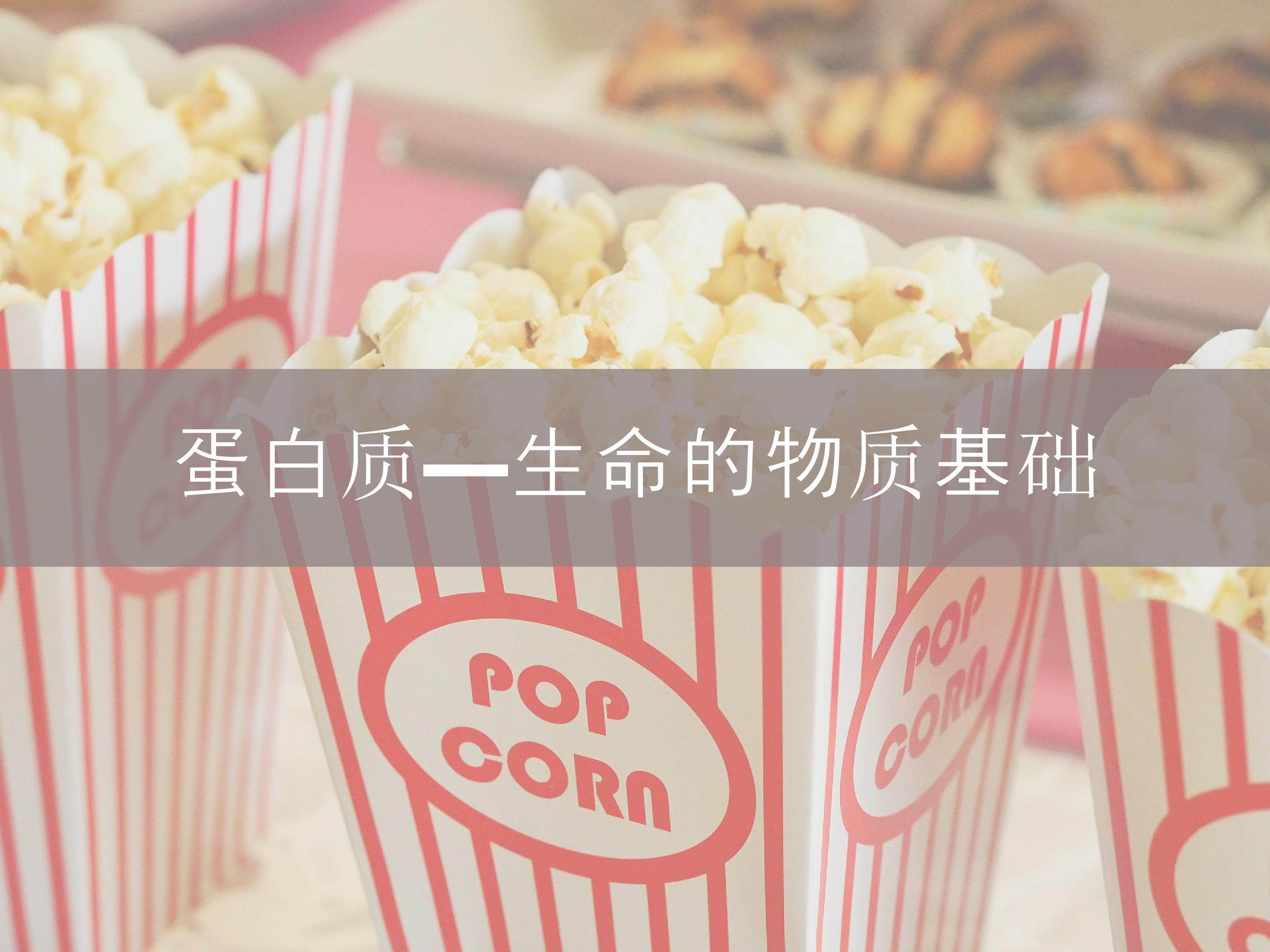蛋白质