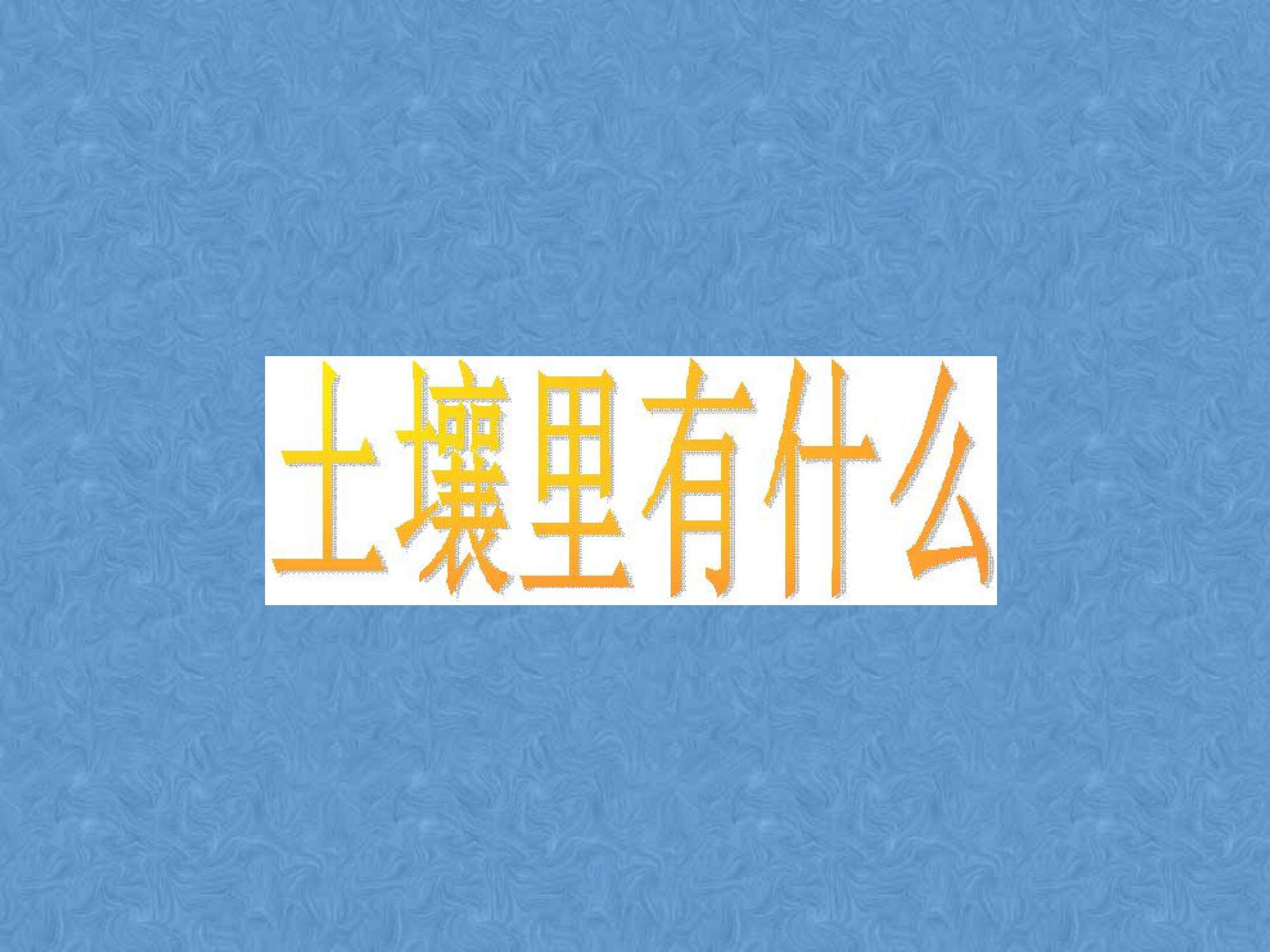 土壤里有什么3