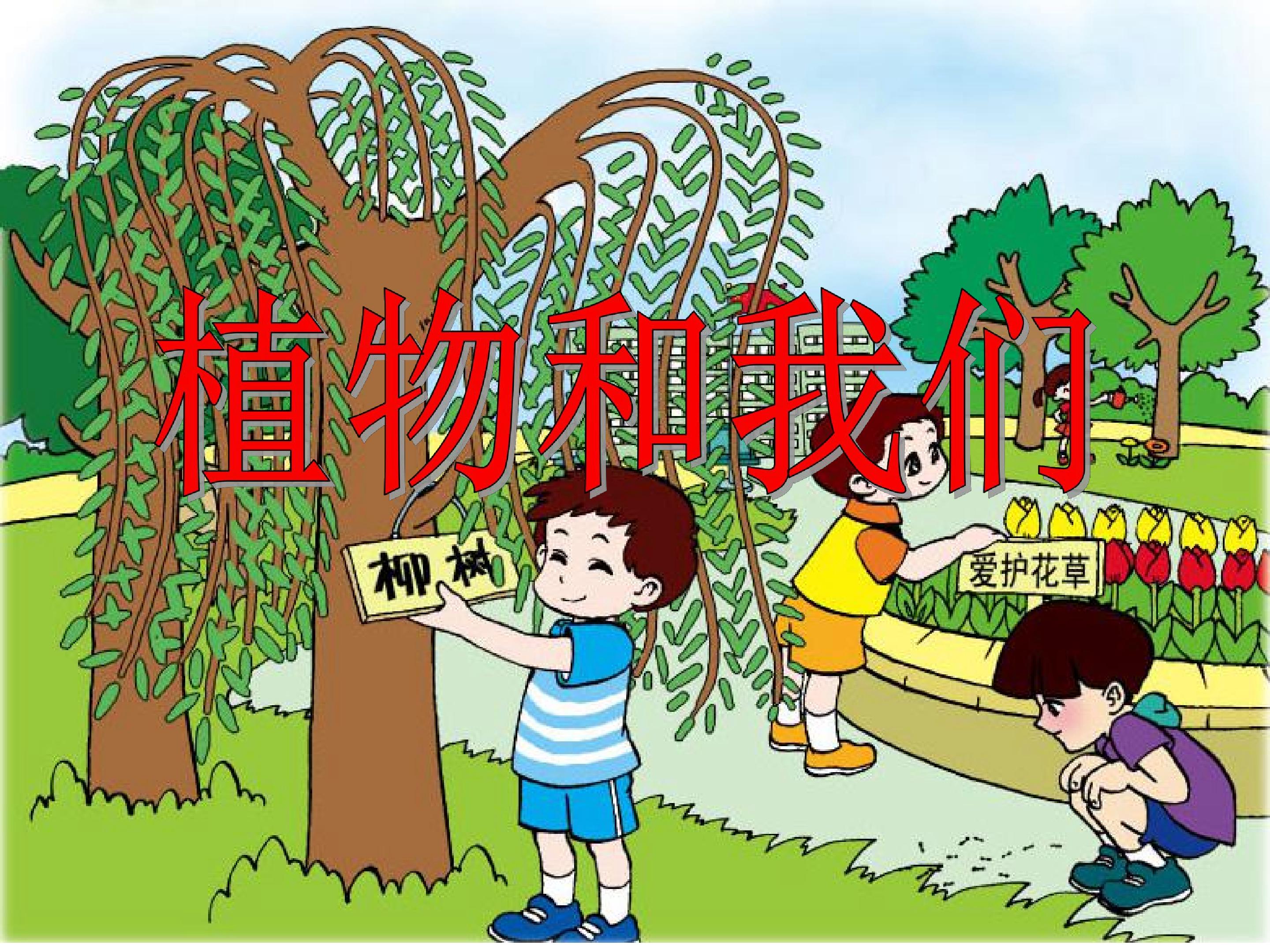 植物和我们的生活