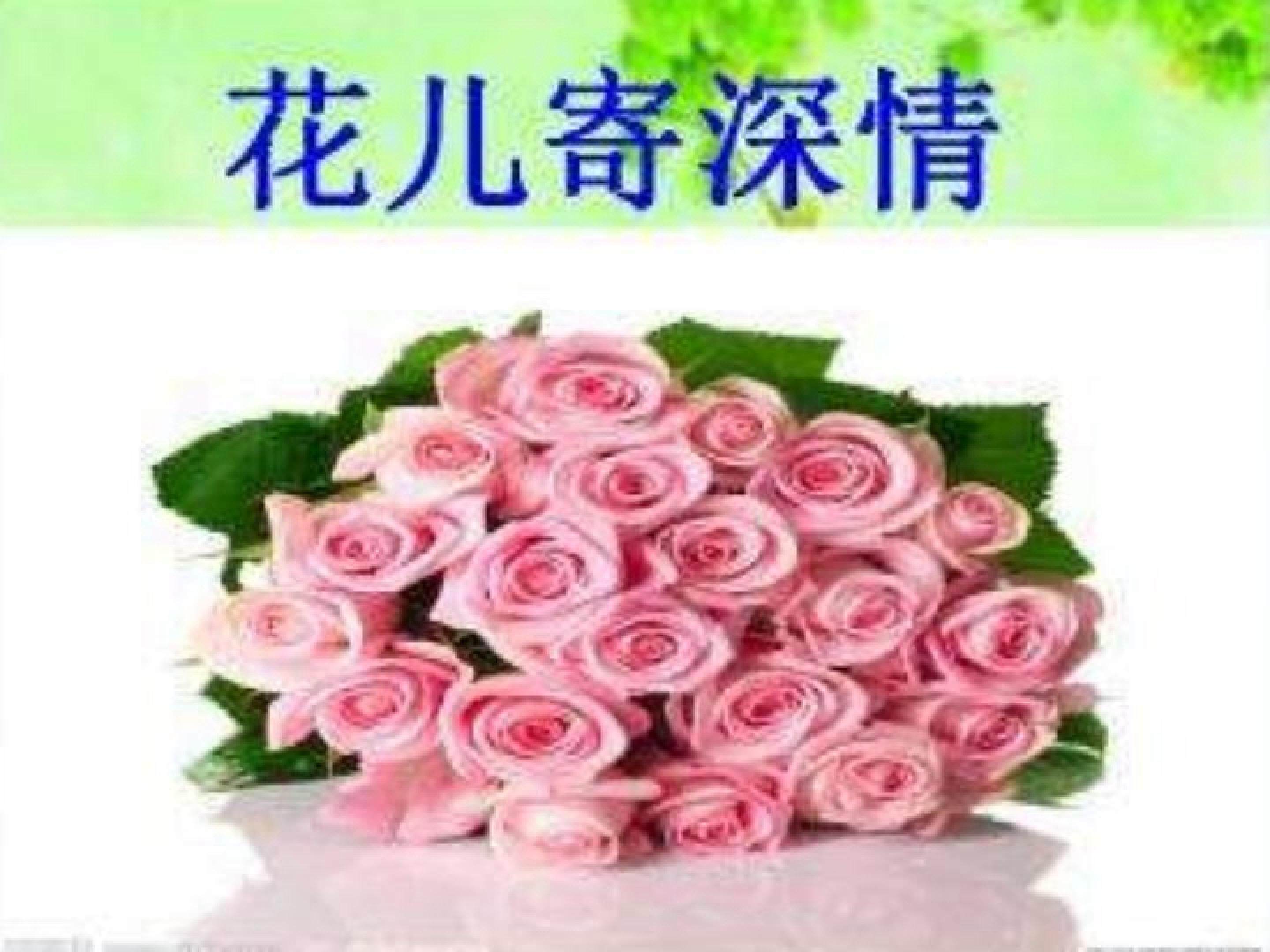 花儿寄深情