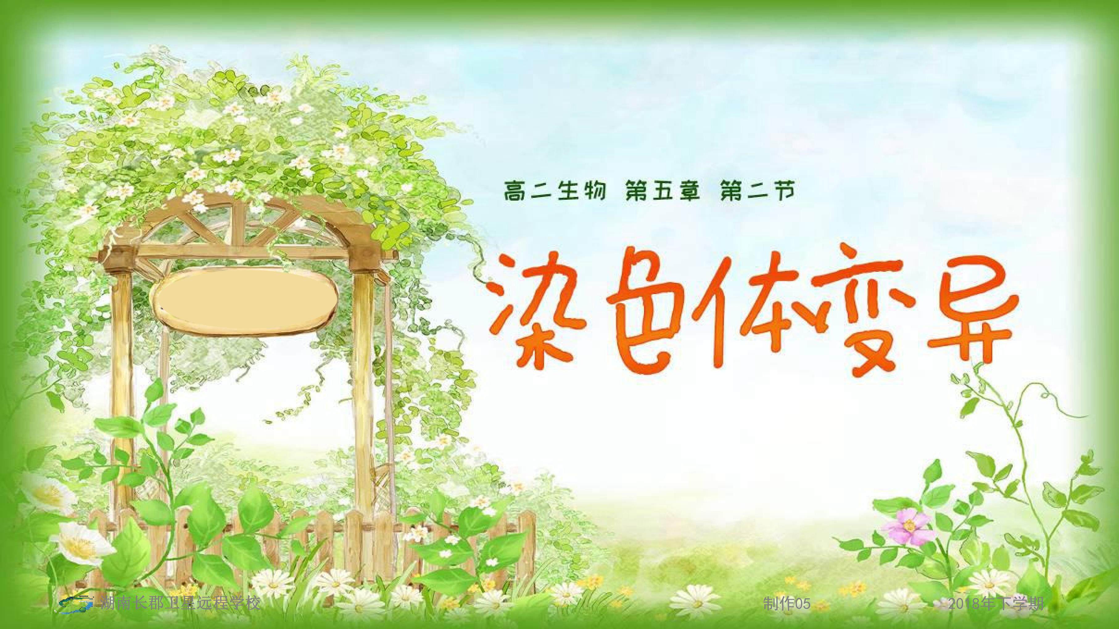 染色体变异