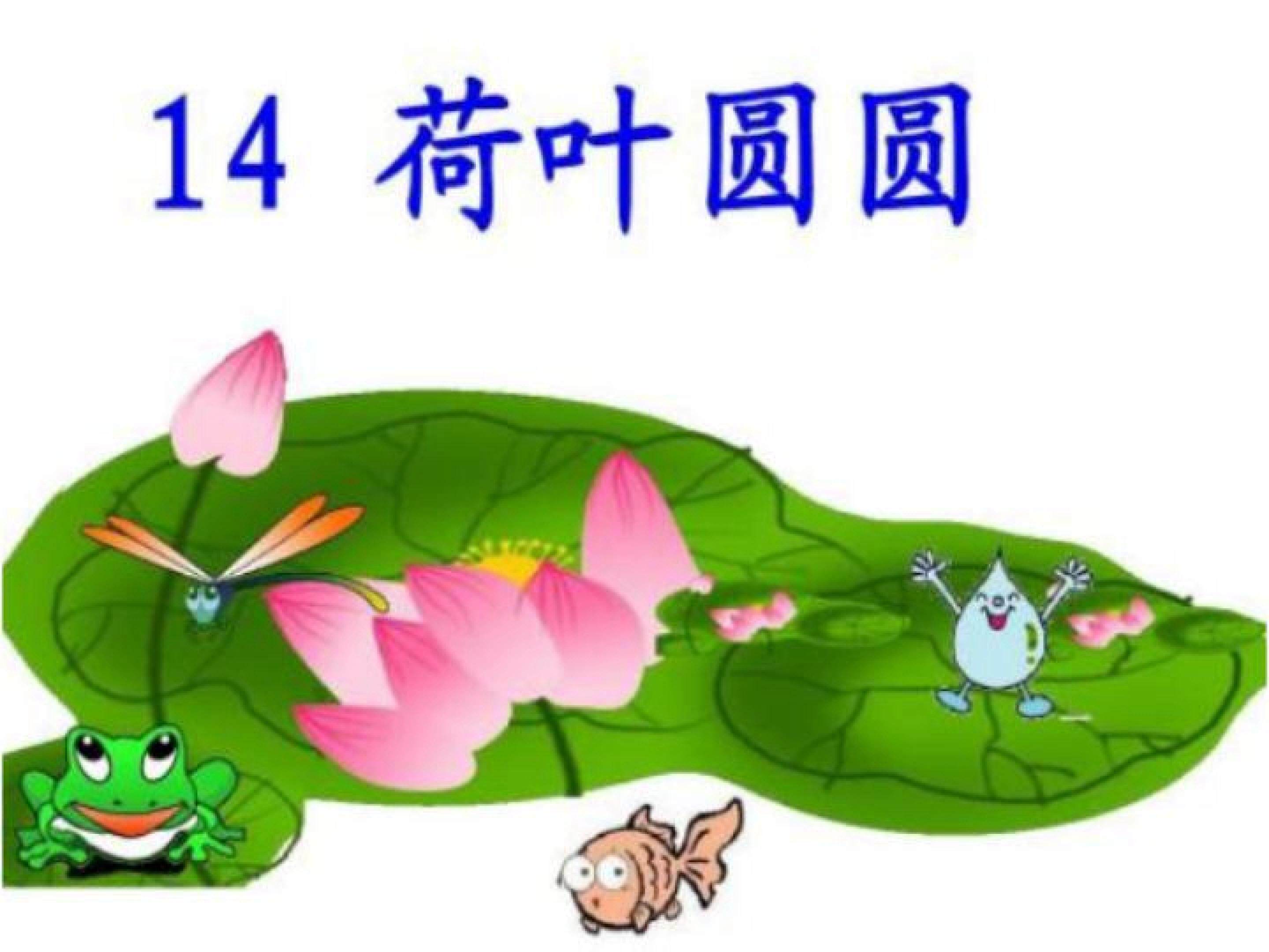 荷叶圆圆