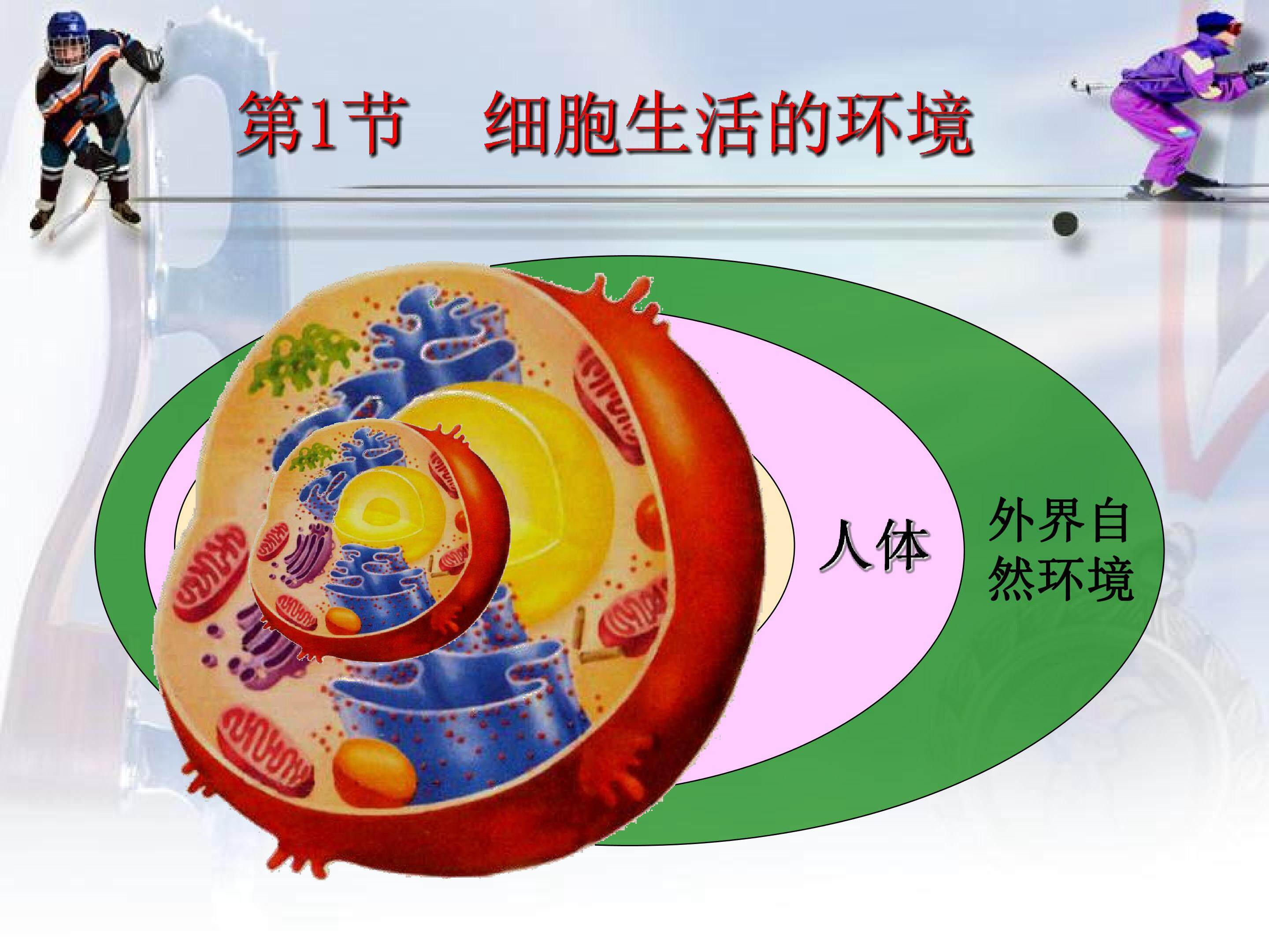 细胞生活的环境