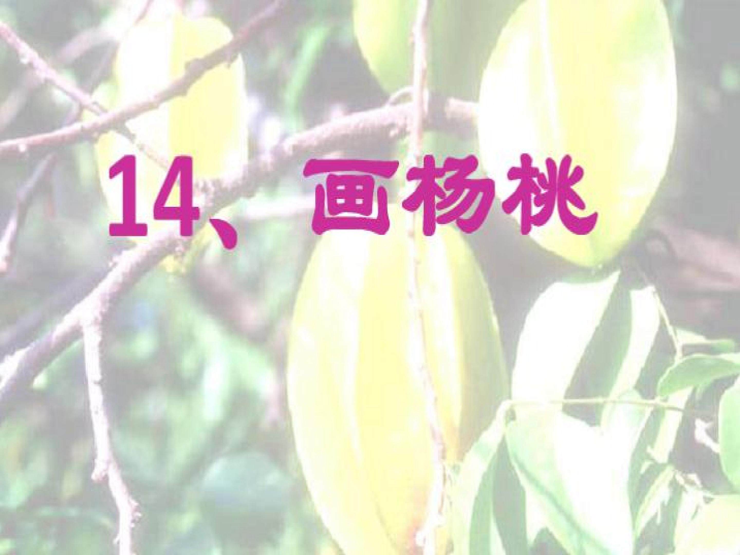 画杨桃