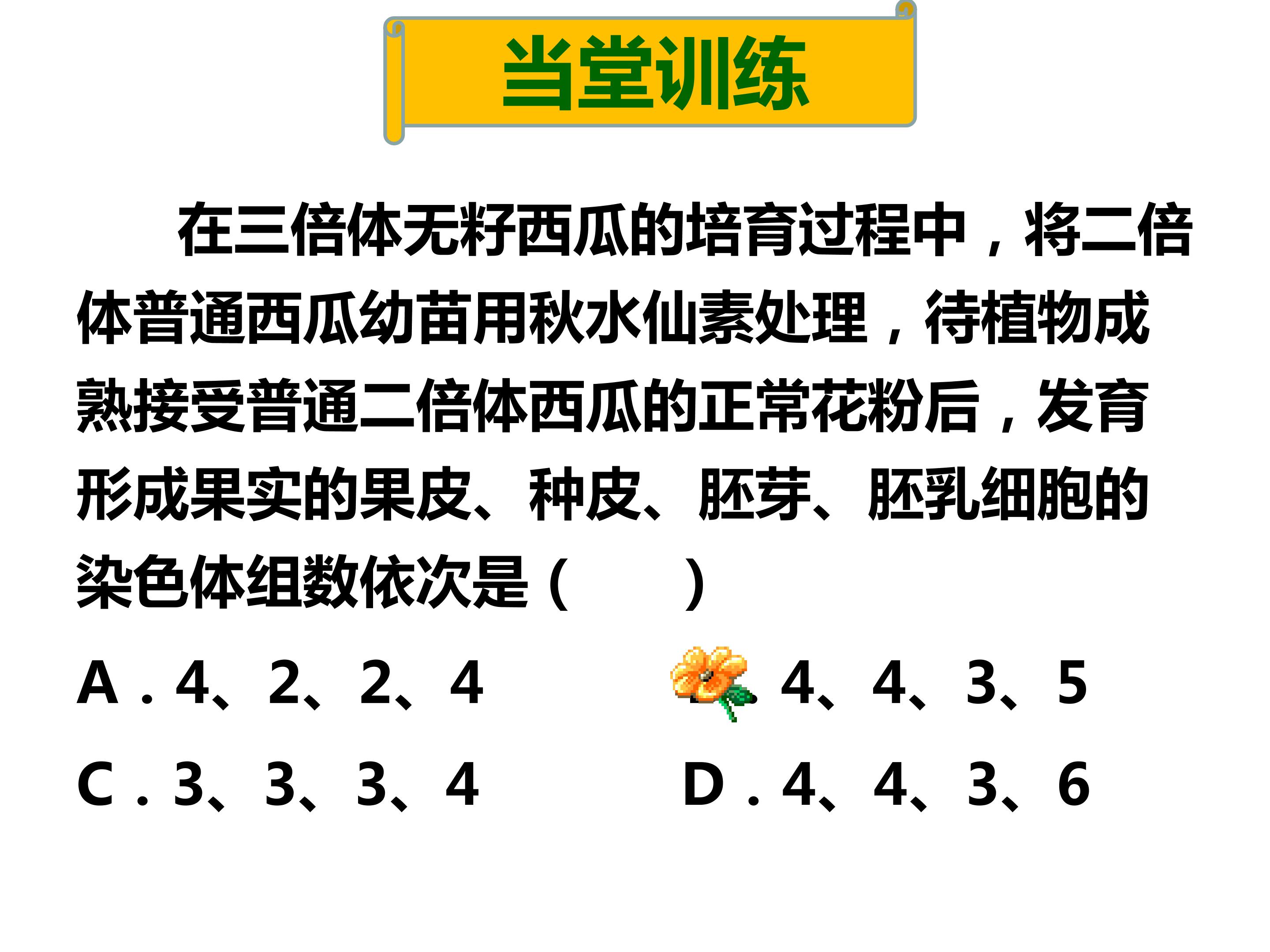 66.jpg