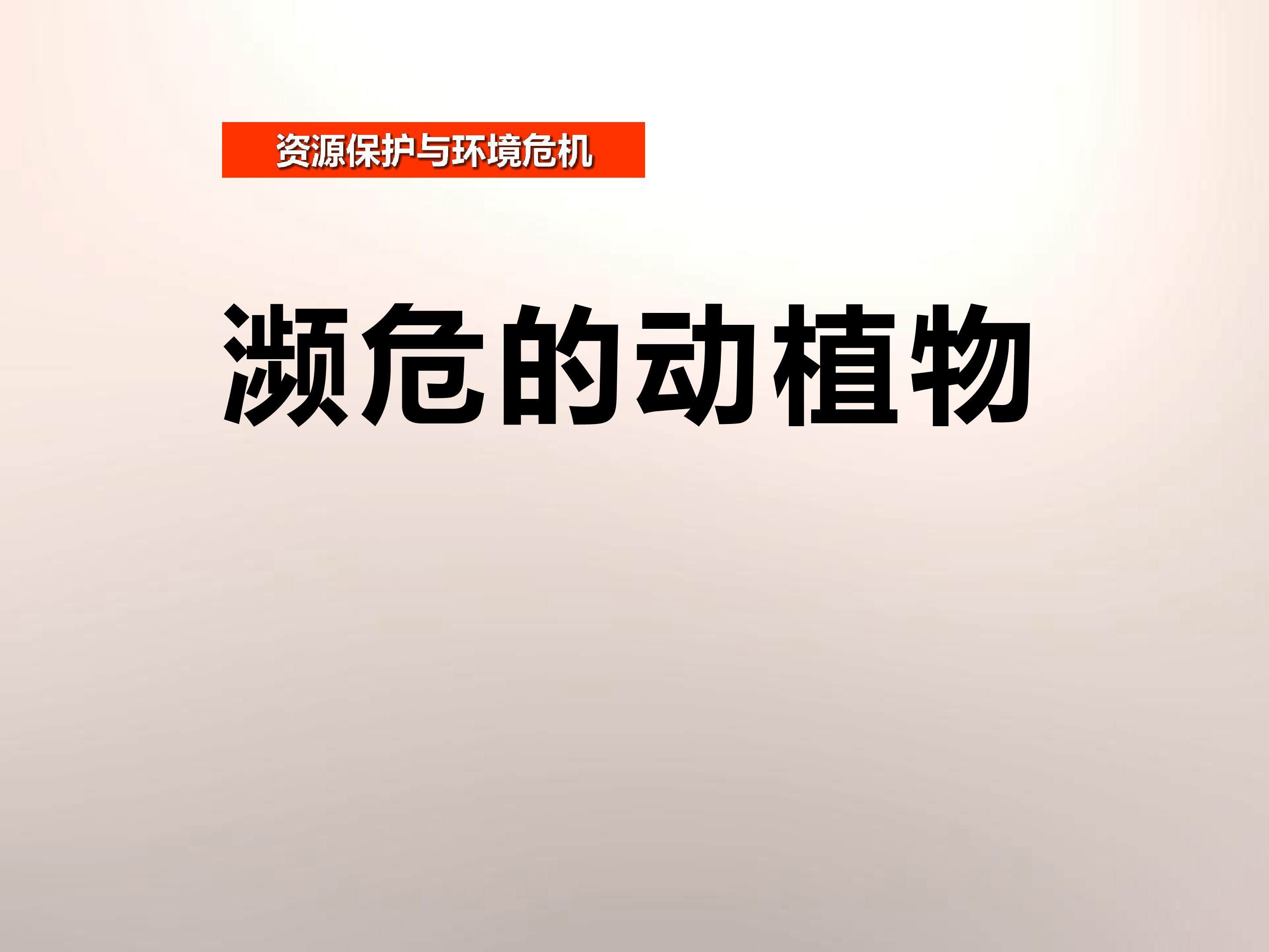 濒危的动植物