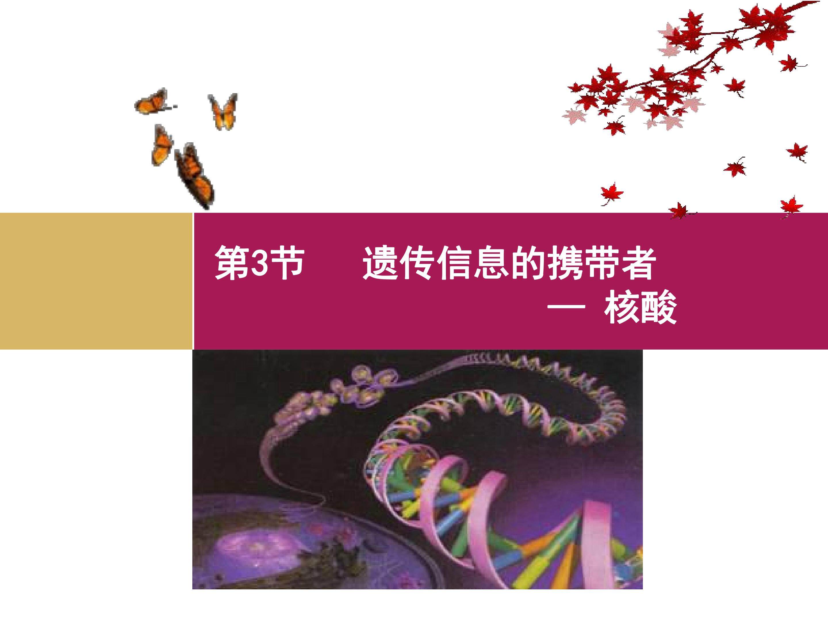 遗传信息的携带者——核酸
