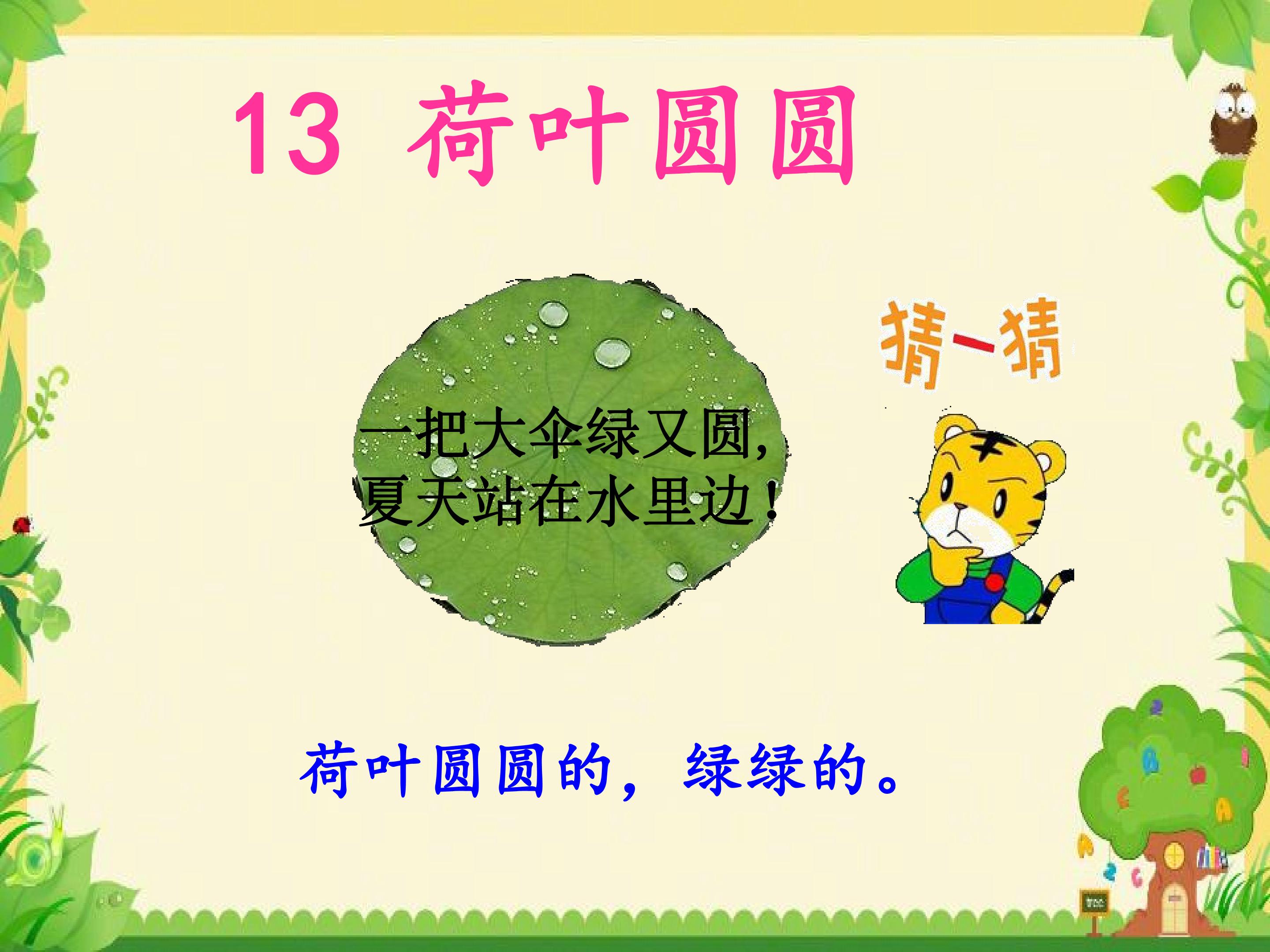 荷叶圆圆